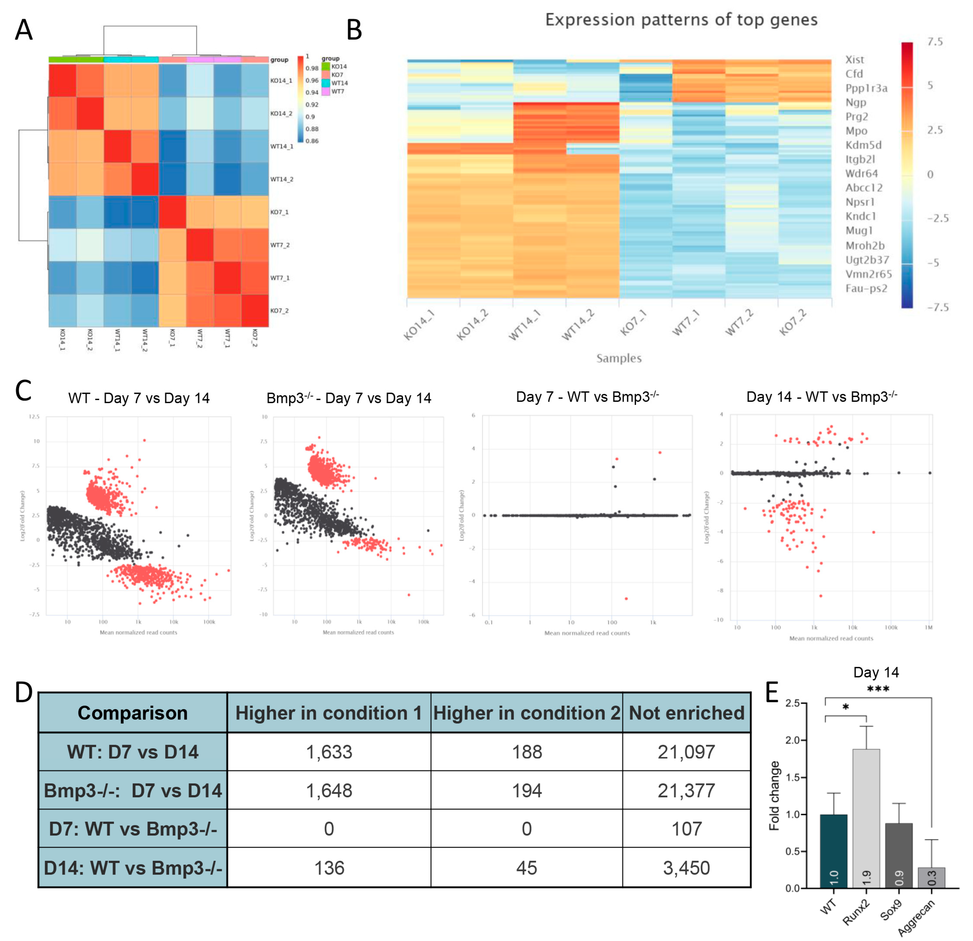 Biomedicines 13 02508 g004 Biomedicines 13 02508 g004