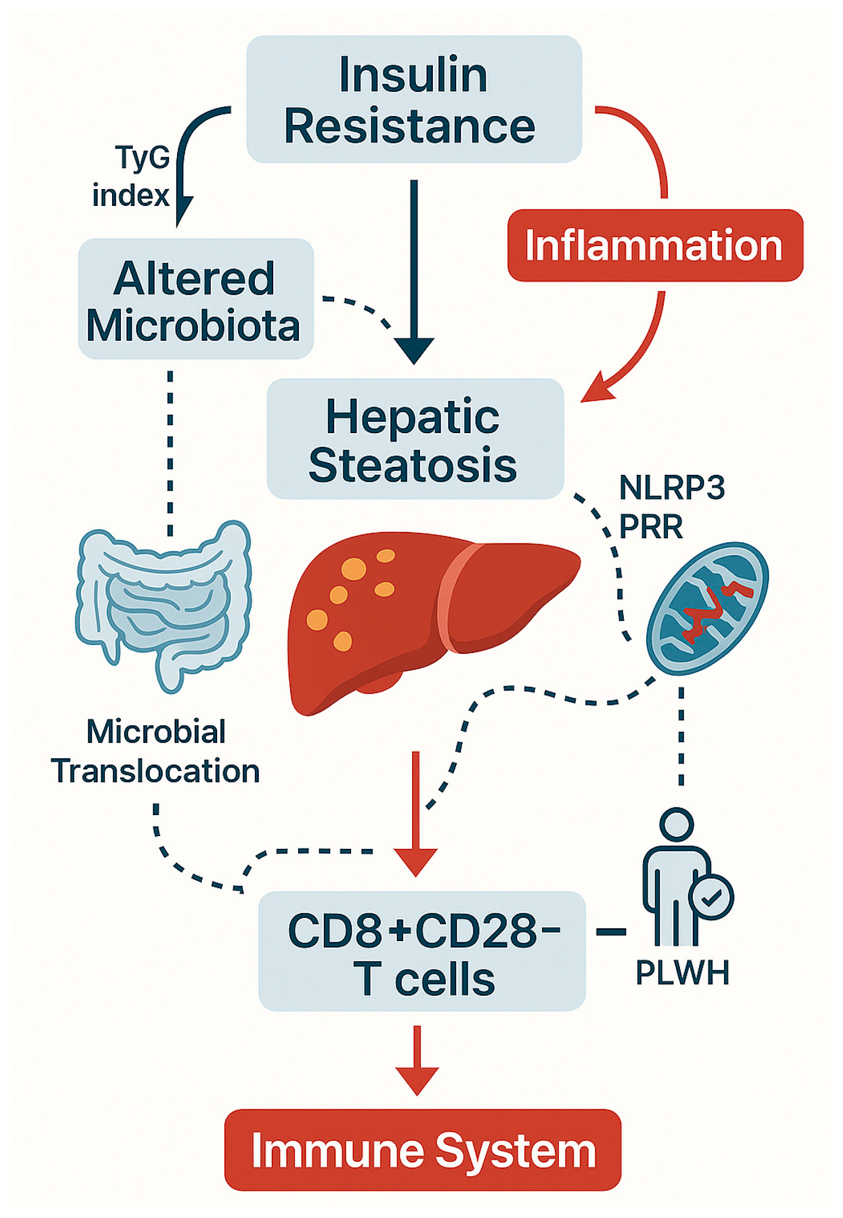 Biomedicines 13 02513 g001
