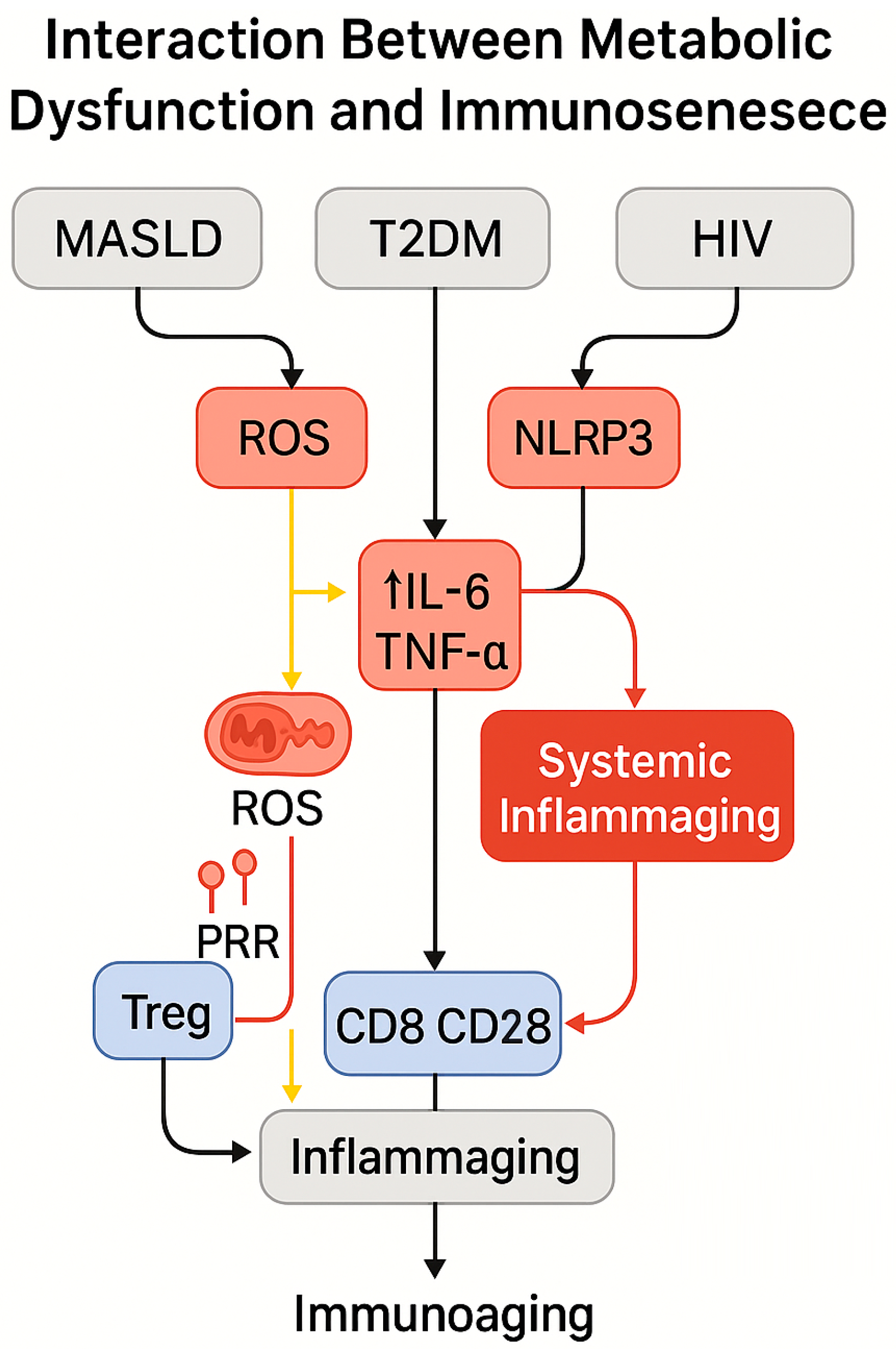Biomedicines 13 02513 g007