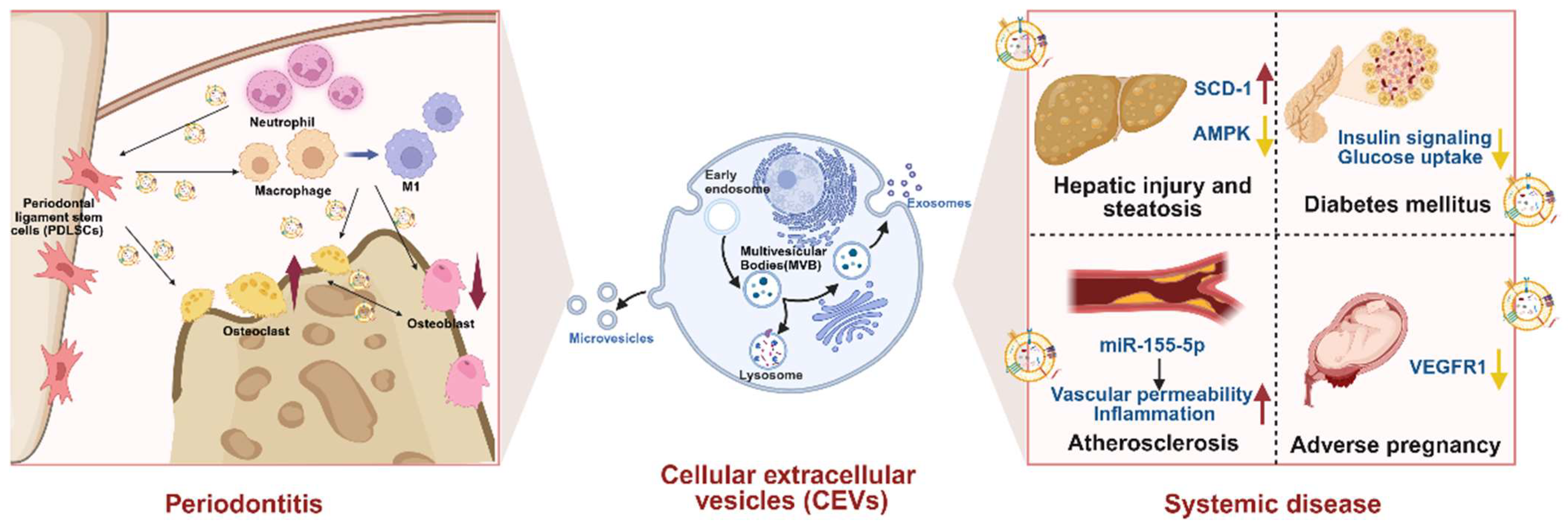Biomedicines 13 02521 g003