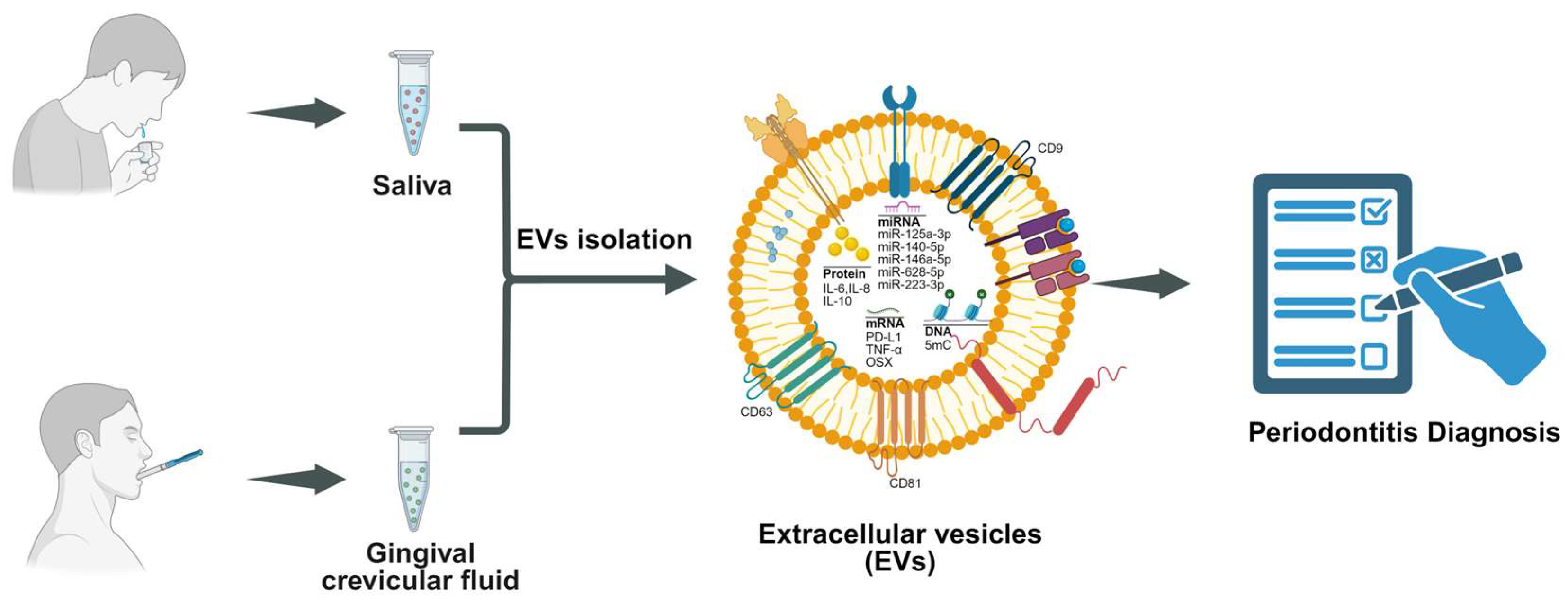 Biomedicines 13 02521 g004