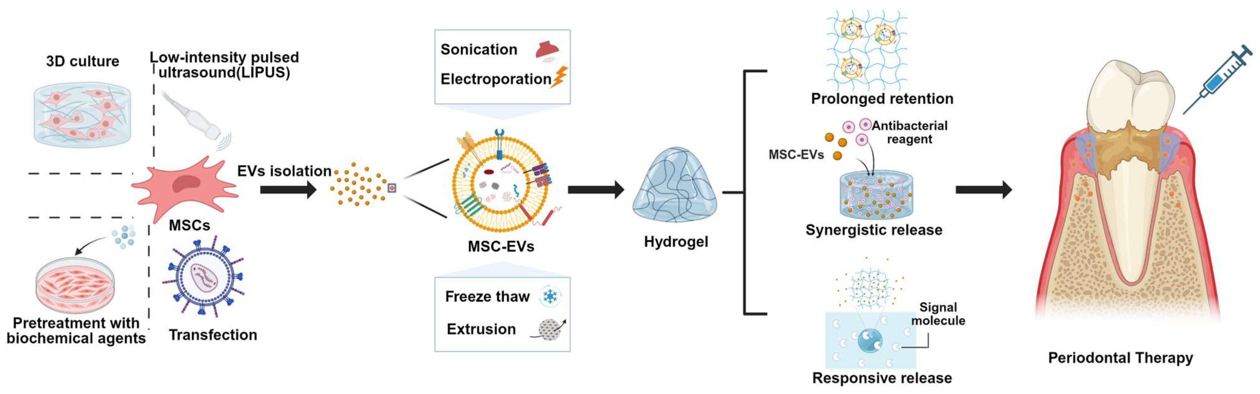 Biomedicines 13 02521 g005