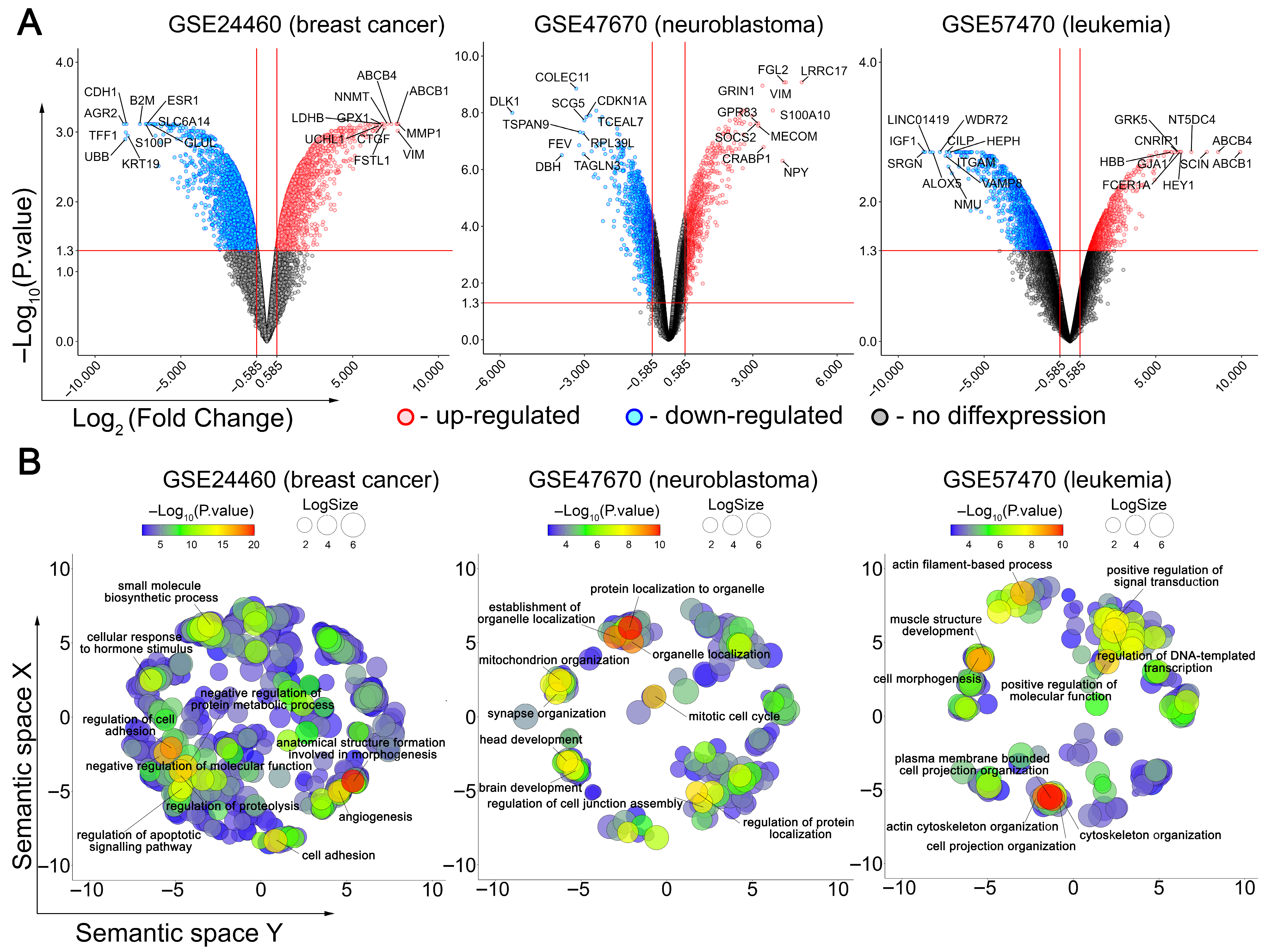 Biomedicines 13 02527 g001