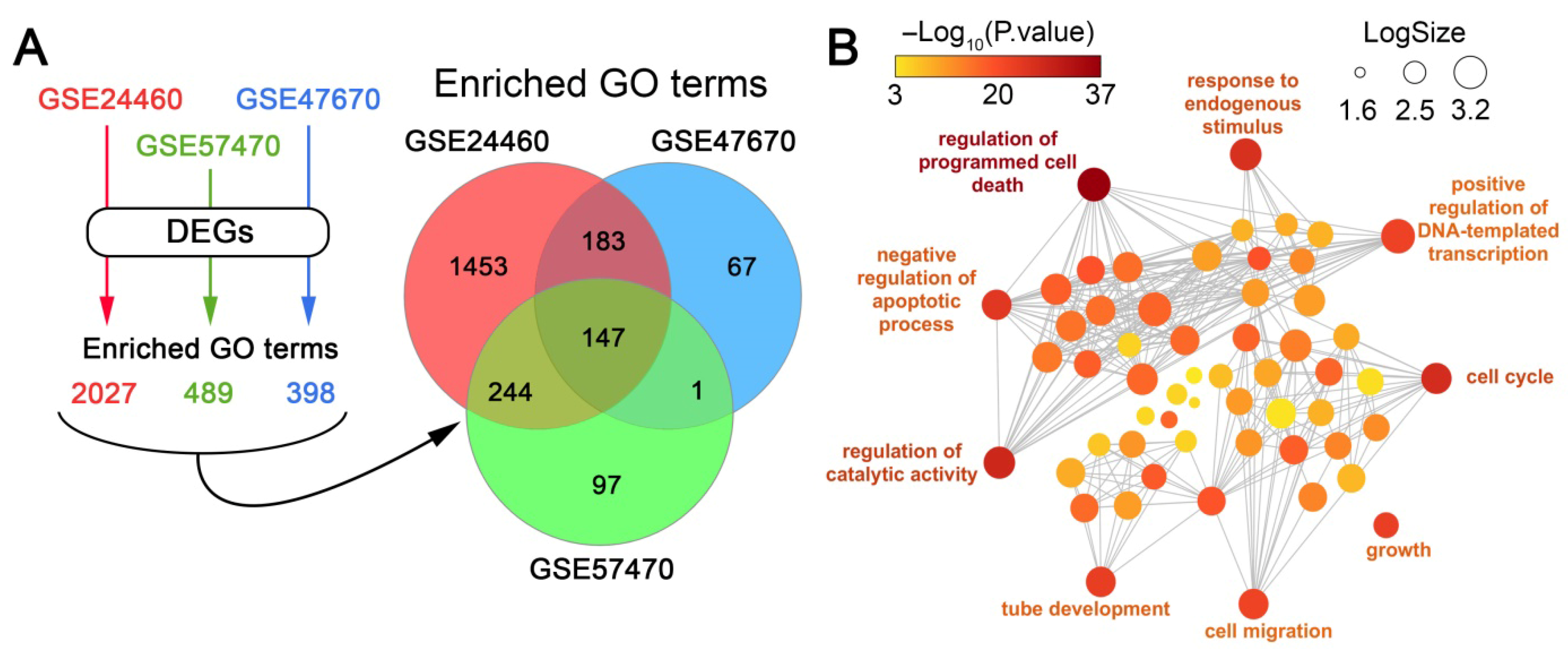 Biomedicines 13 02527 g002