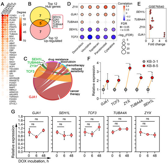 Novel Cross-Cancer Hub Genes in Doxorubicin Resistance Identified