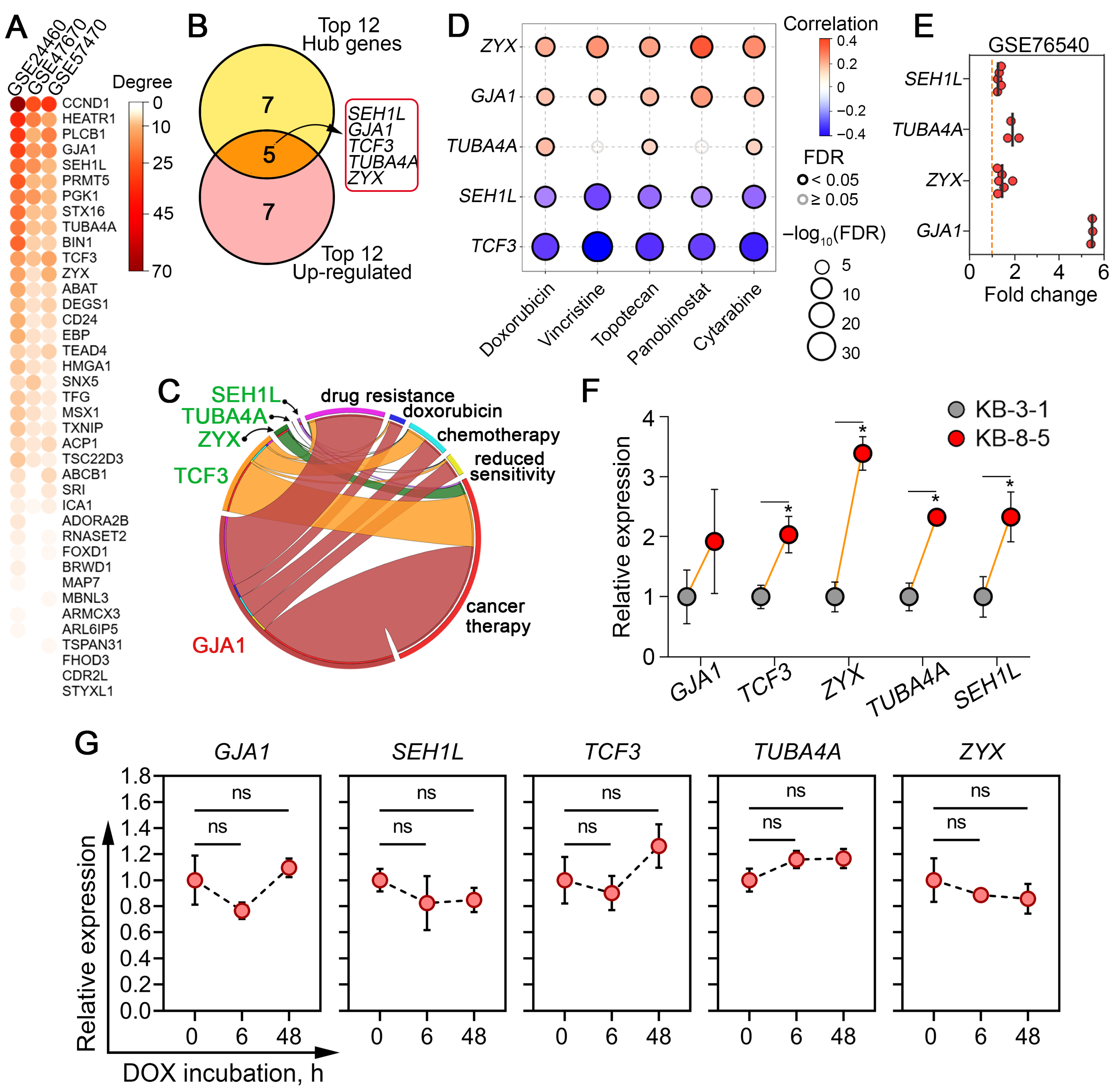Biomedicines 13 02527 g006