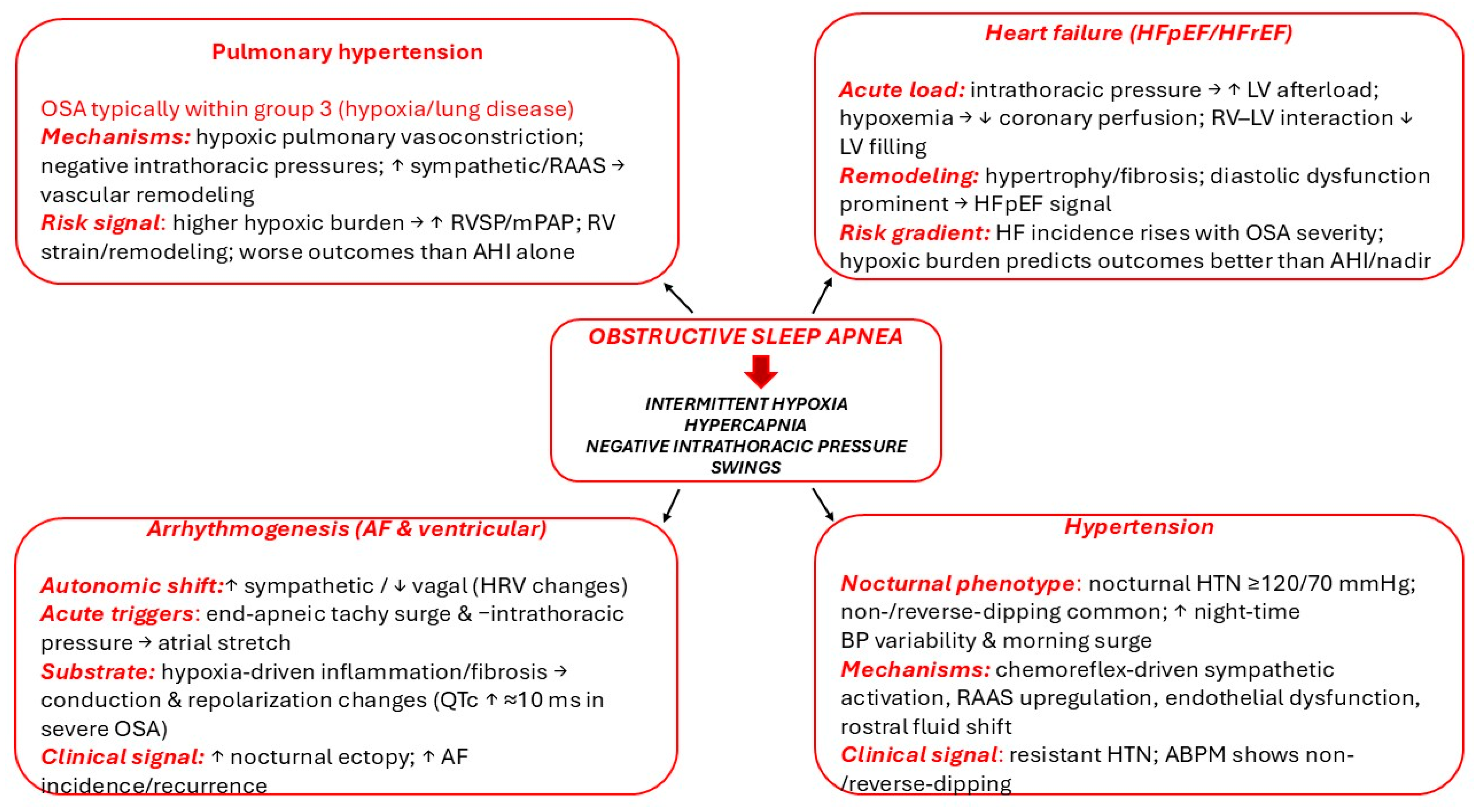 Biomedicines 13 02529 g001