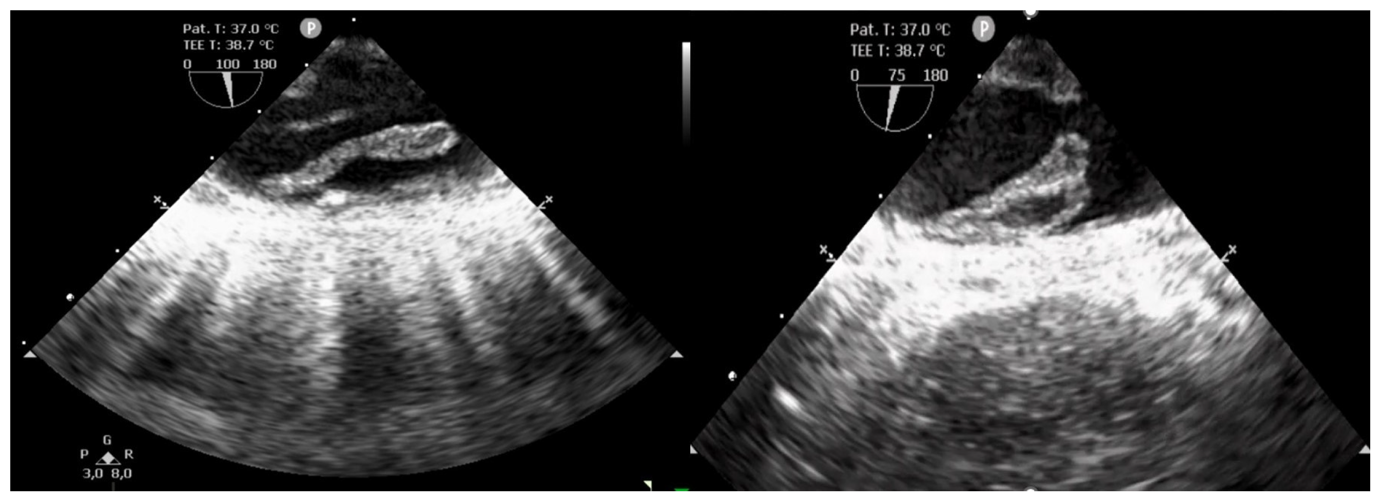 Biomedicines 13 02543 g001