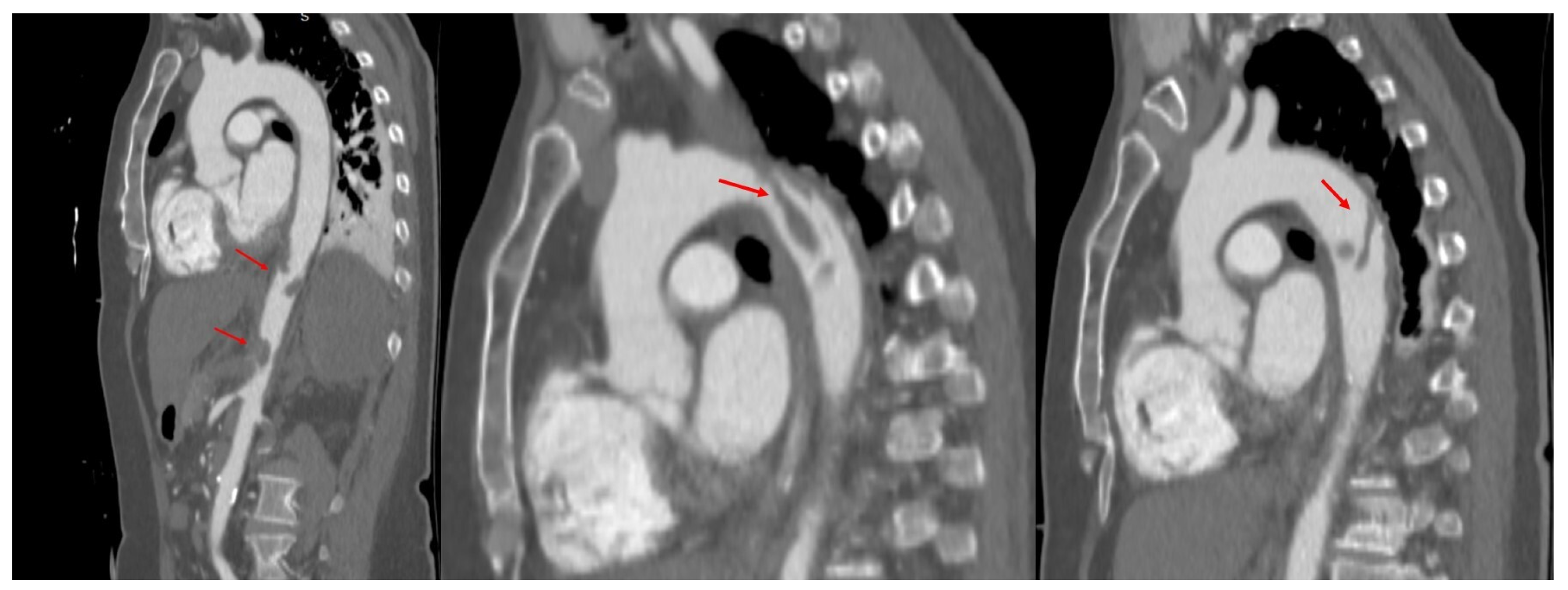 Biomedicines 13 02543 g002