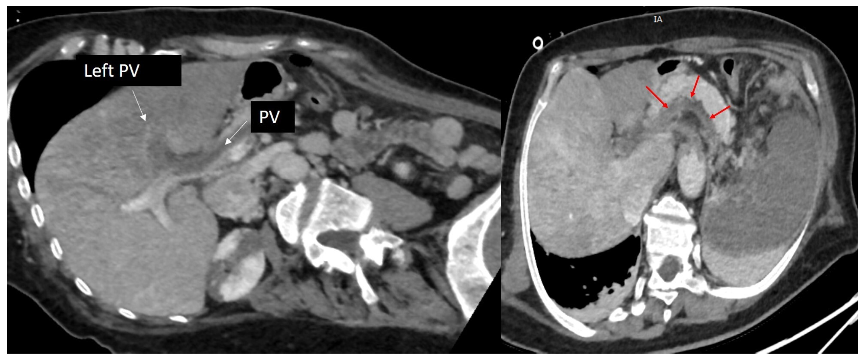 Biomedicines 13 02543 g004