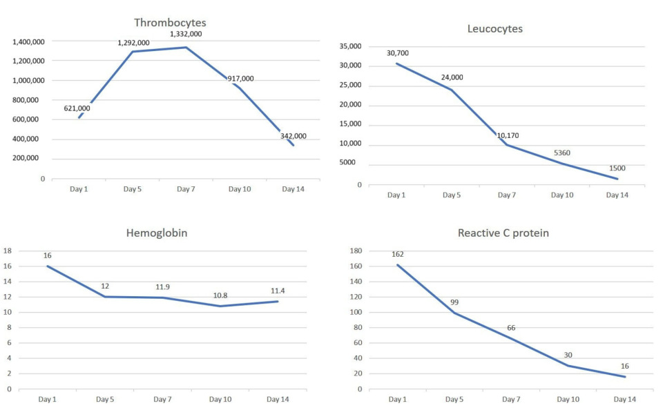 Biomedicines 13 02543 g005