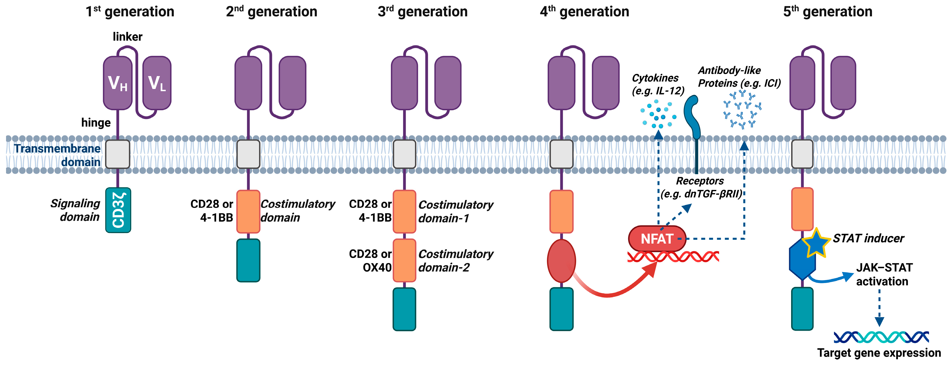 Biomedicines 13 02545 g002 Biomedicines 13 02545 g002