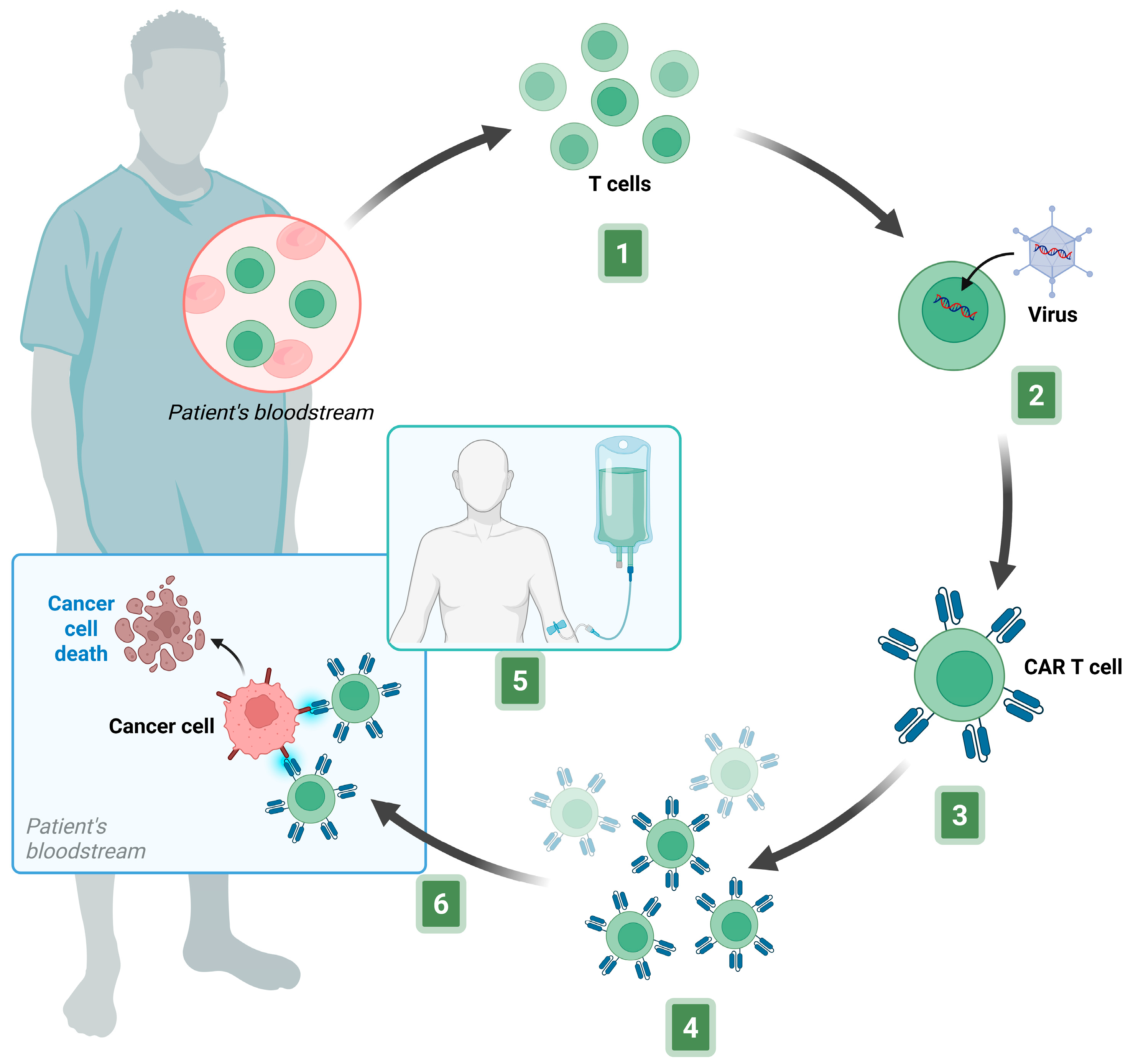 Biomedicines 13 02545 g004 Biomedicines 13 02545 g004