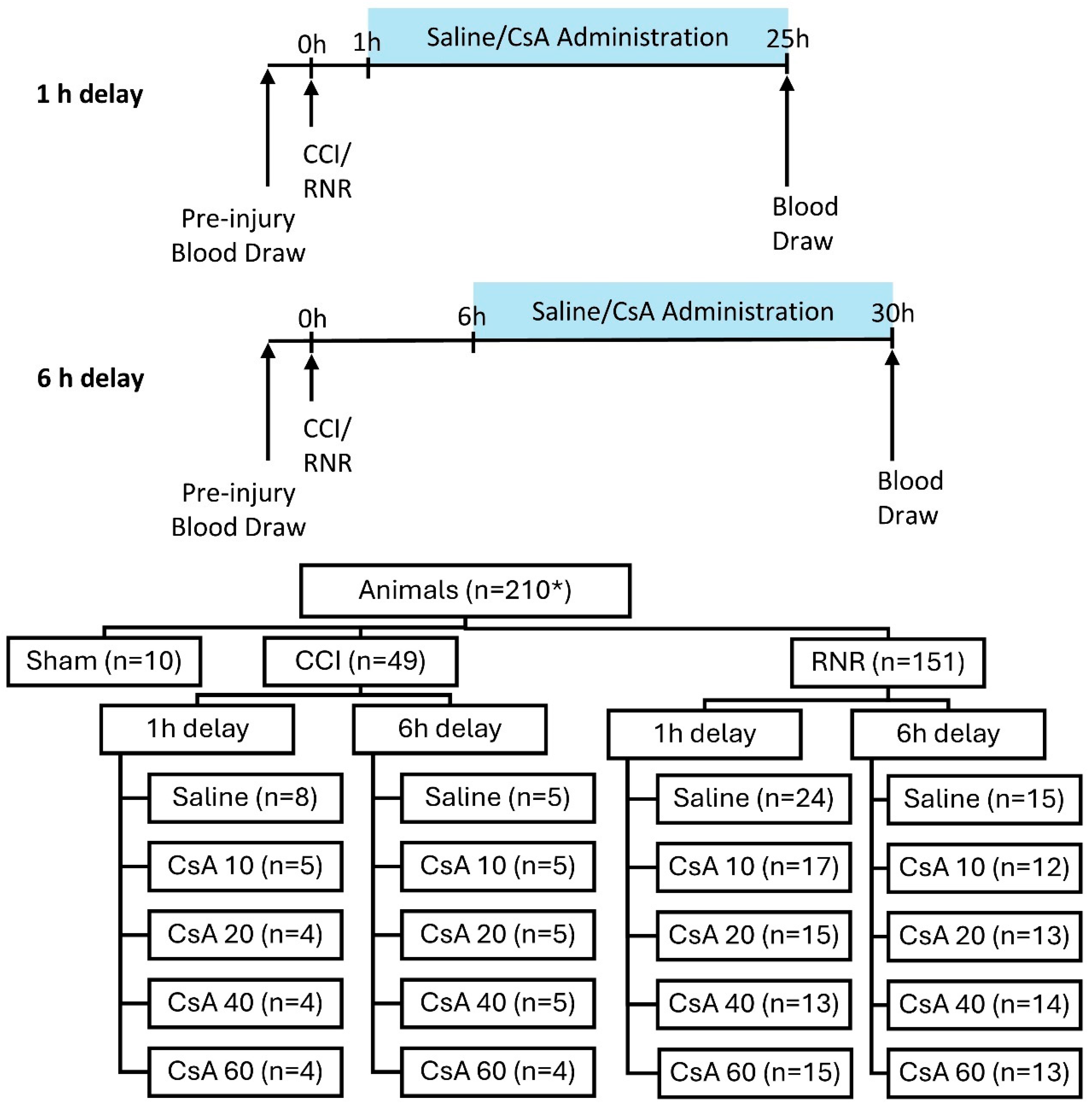 Biomedicines 13 02547 g001 Biomedicines 13 02547 g001