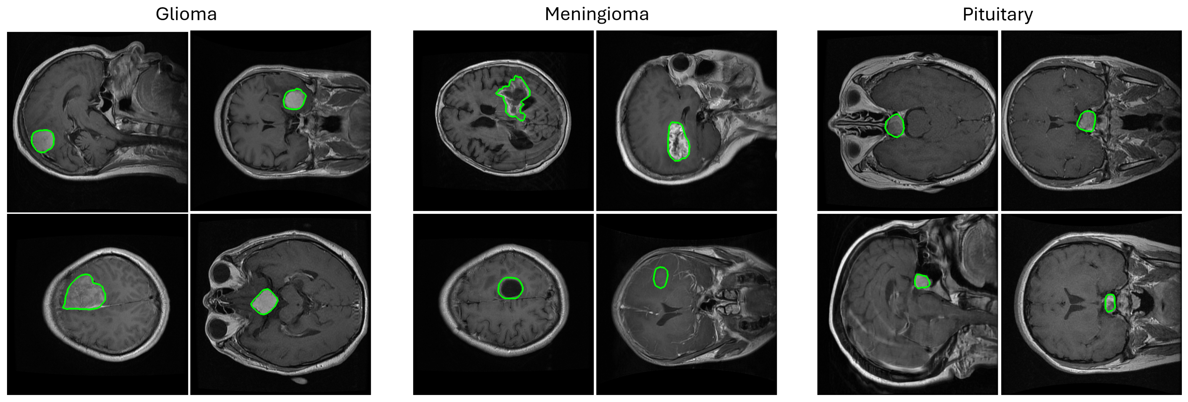 Biomedicines 13 02571 g001
