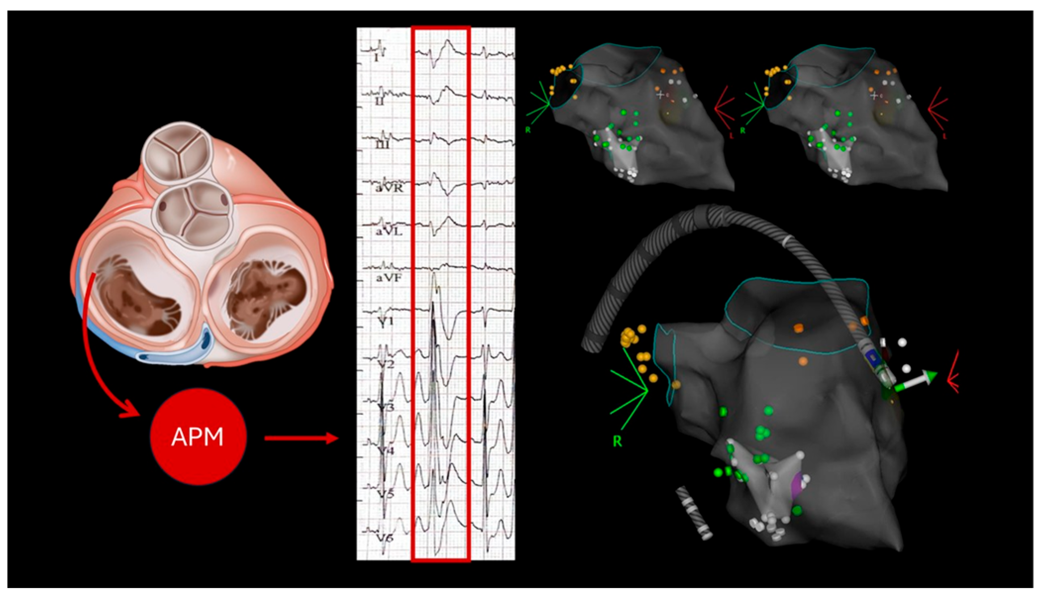 Biomedicines 13 02589 g002