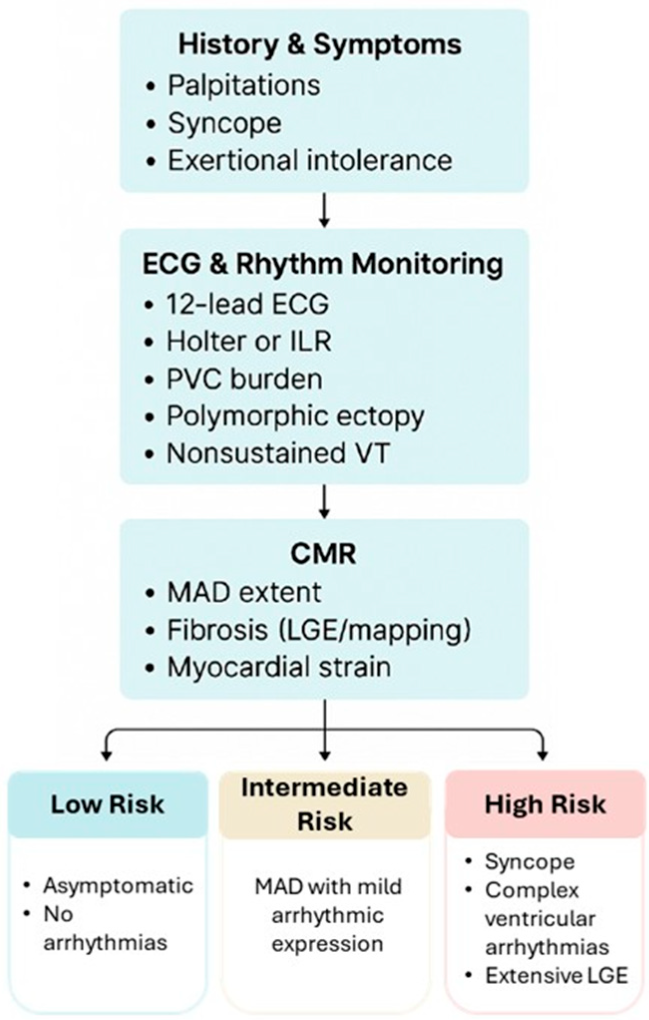 Biomedicines 13 02589 g004