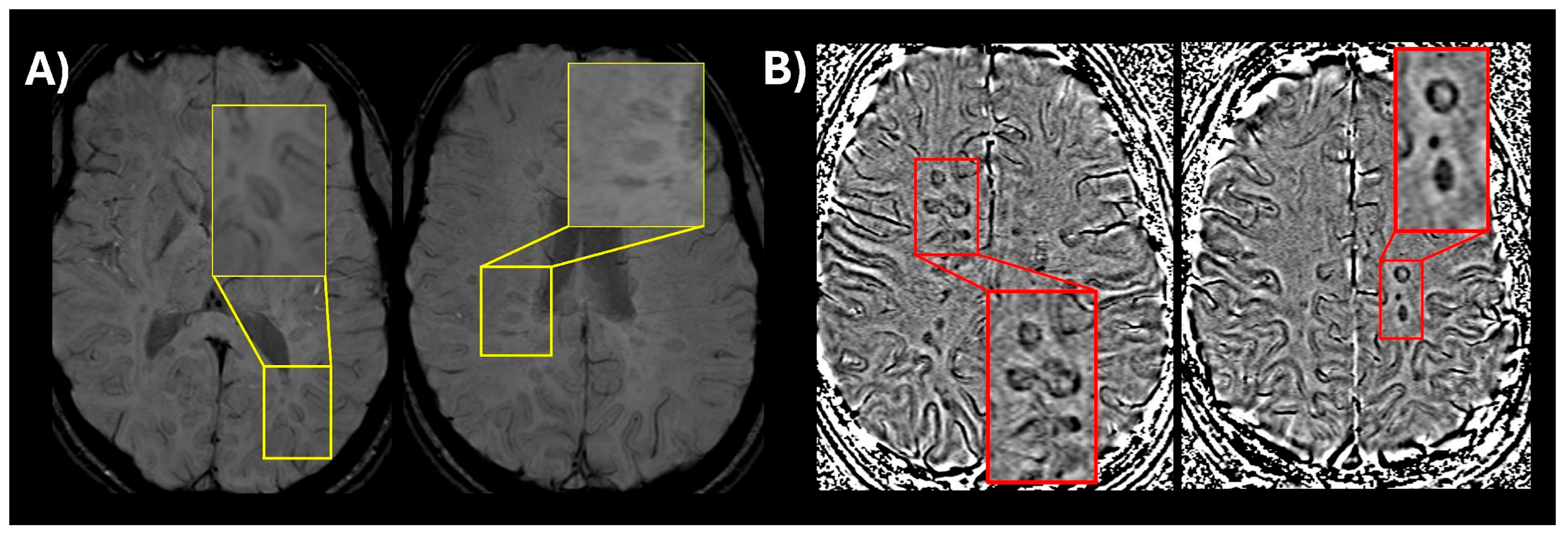 Biomedicines 13 02590 g001
