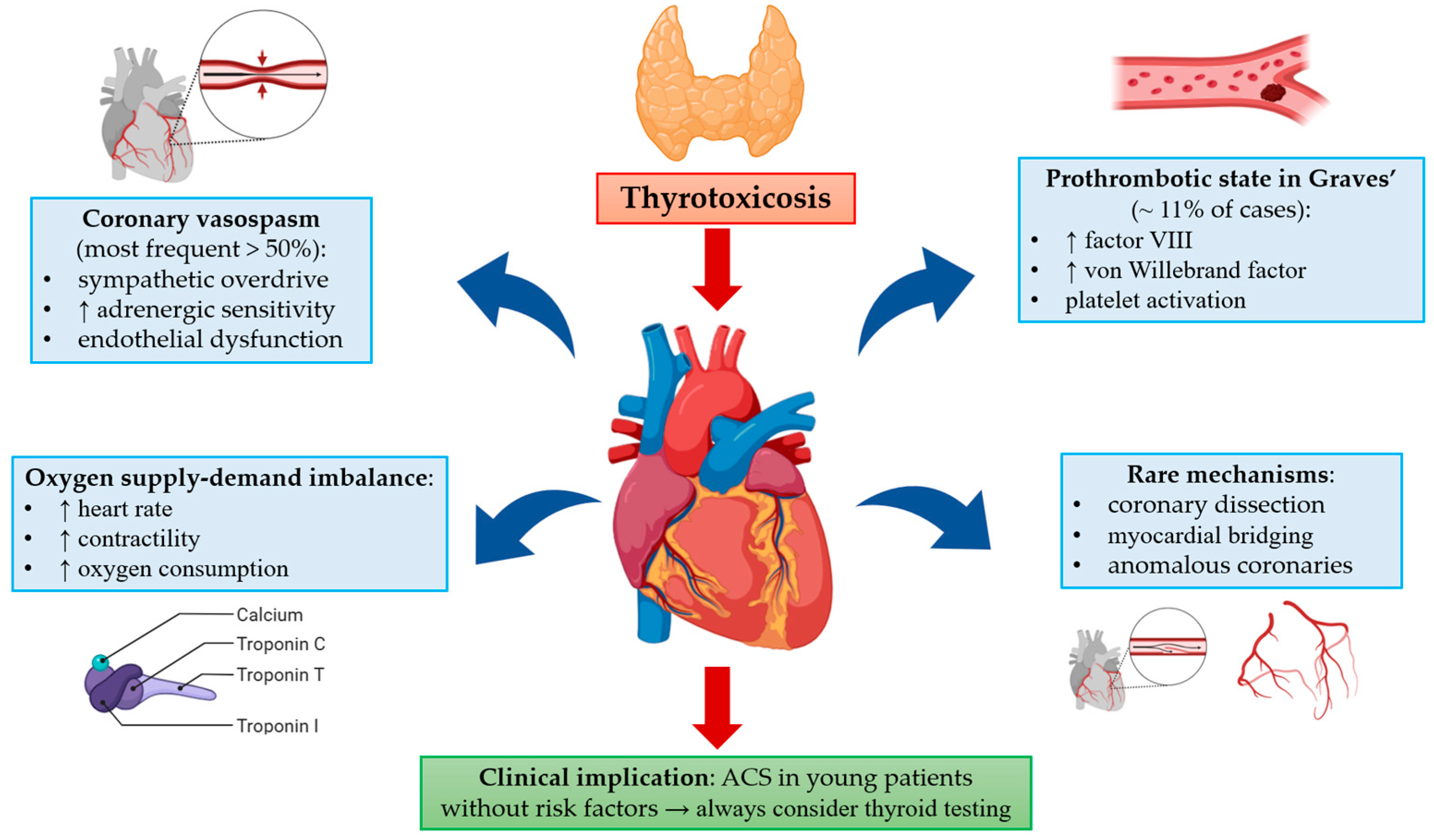 Biomedicines 13 02591 g001 Biomedicines 13 02591 g001