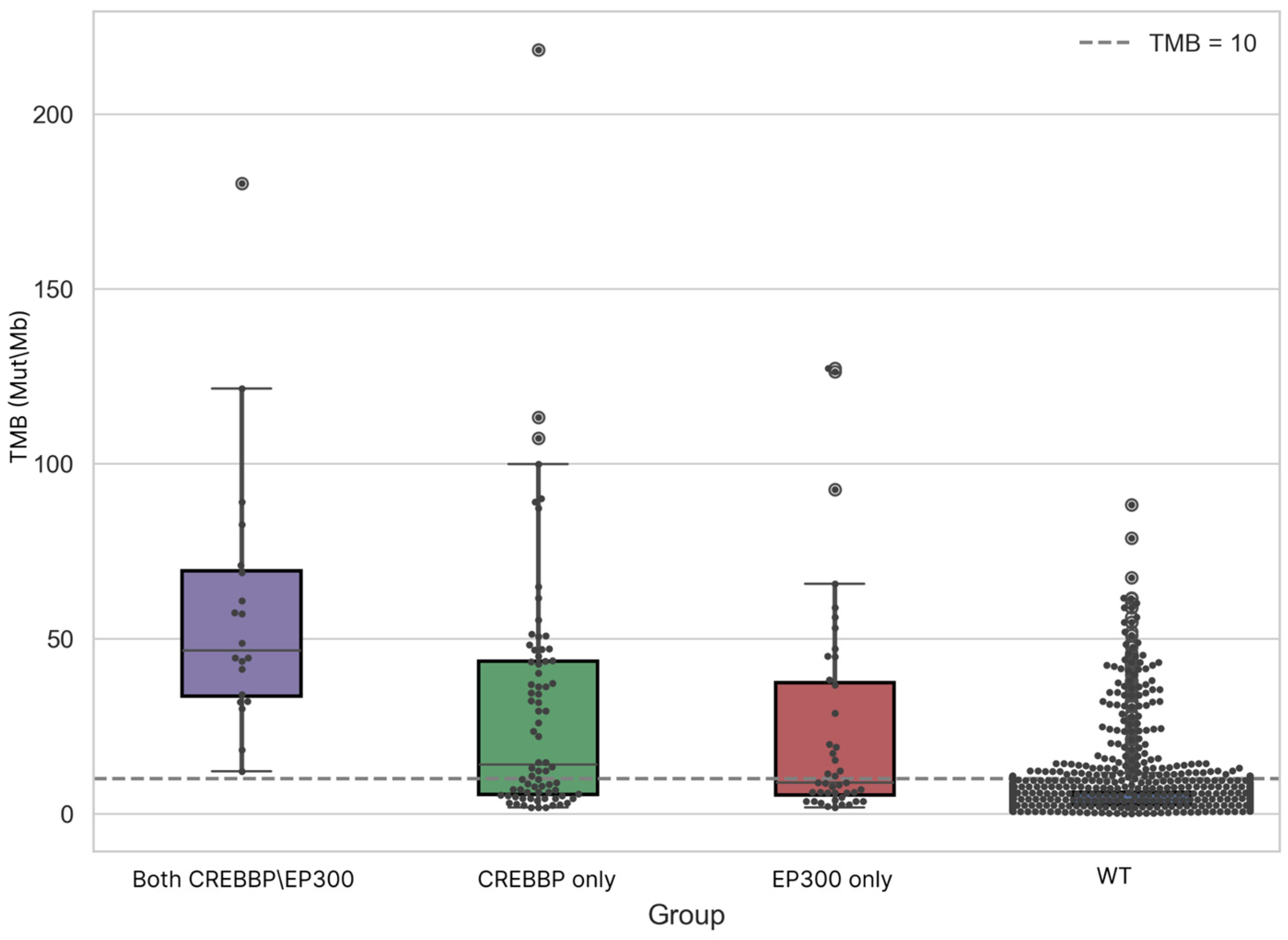 Biomedicines 13 02592 g002 Biomedicines 13 02592 g002