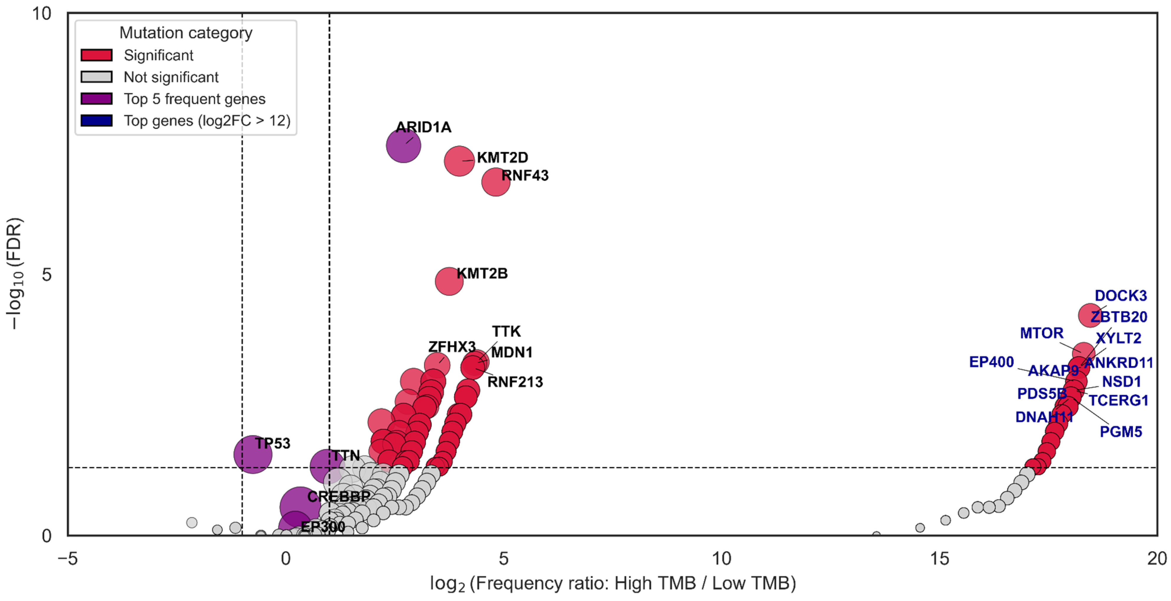 Biomedicines 13 02592 g004 Biomedicines 13 02592 g004