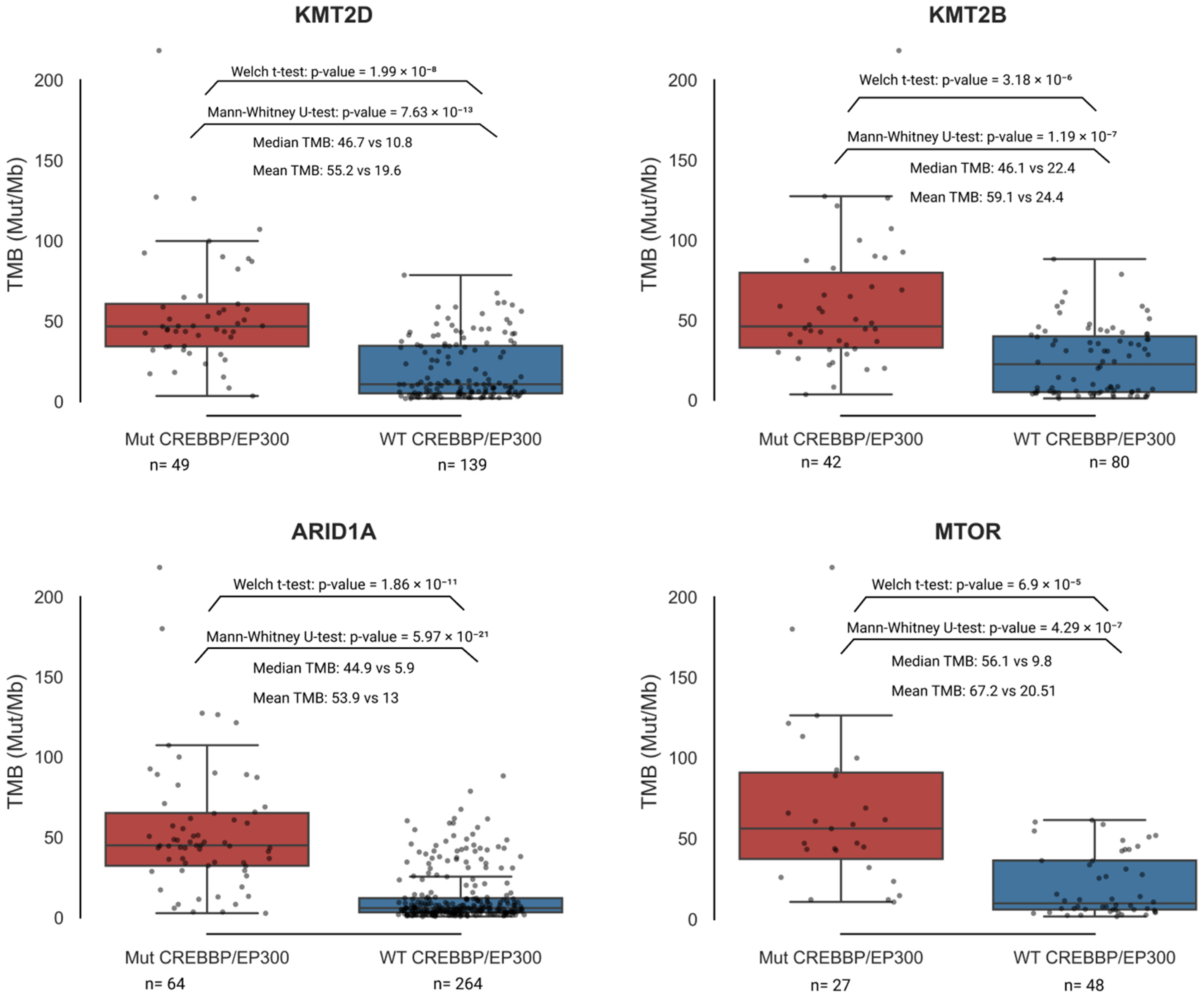 Biomedicines 13 02592 g005 Biomedicines 13 02592 g005