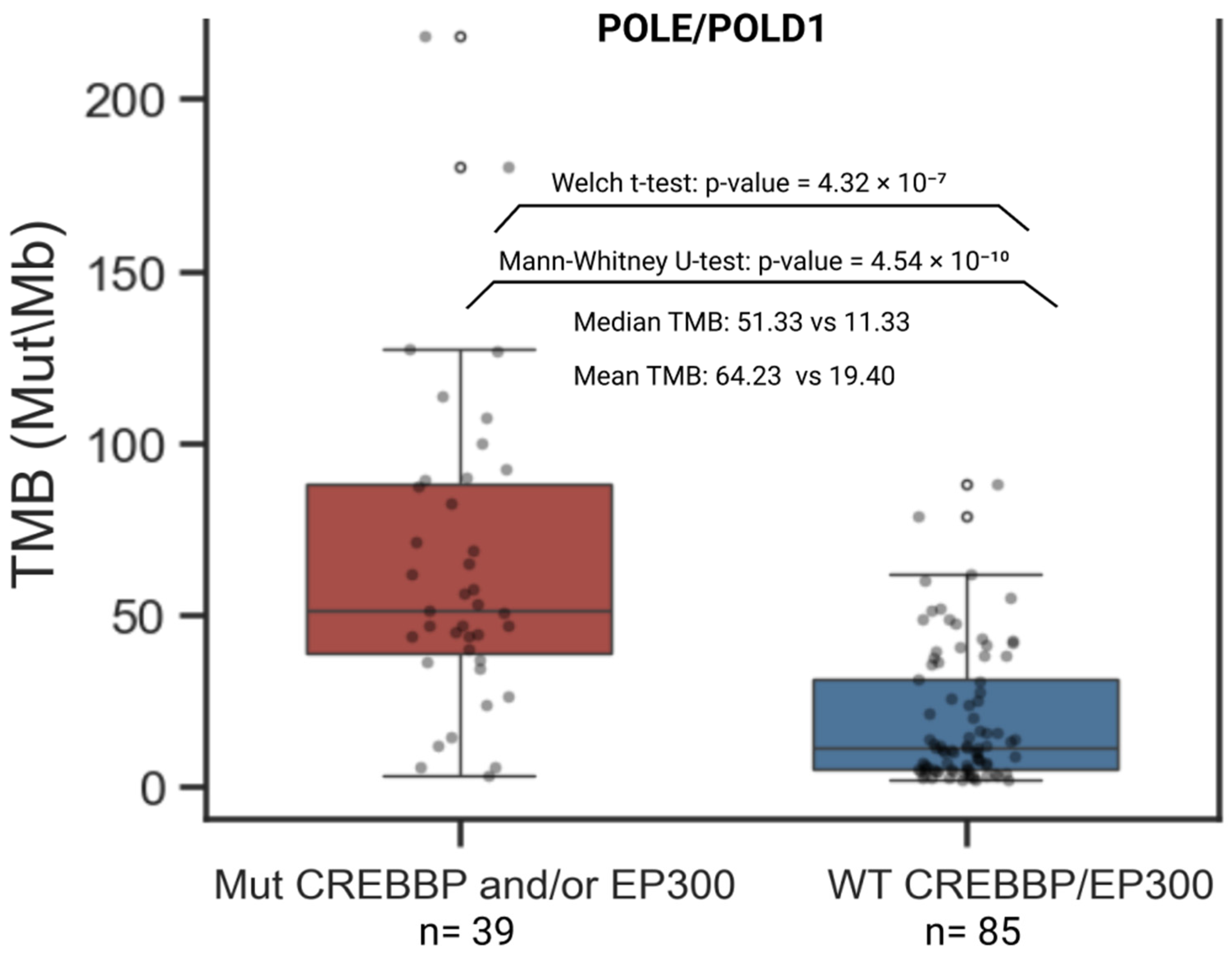 Biomedicines 13 02592 g006 Biomedicines 13 02592 g006