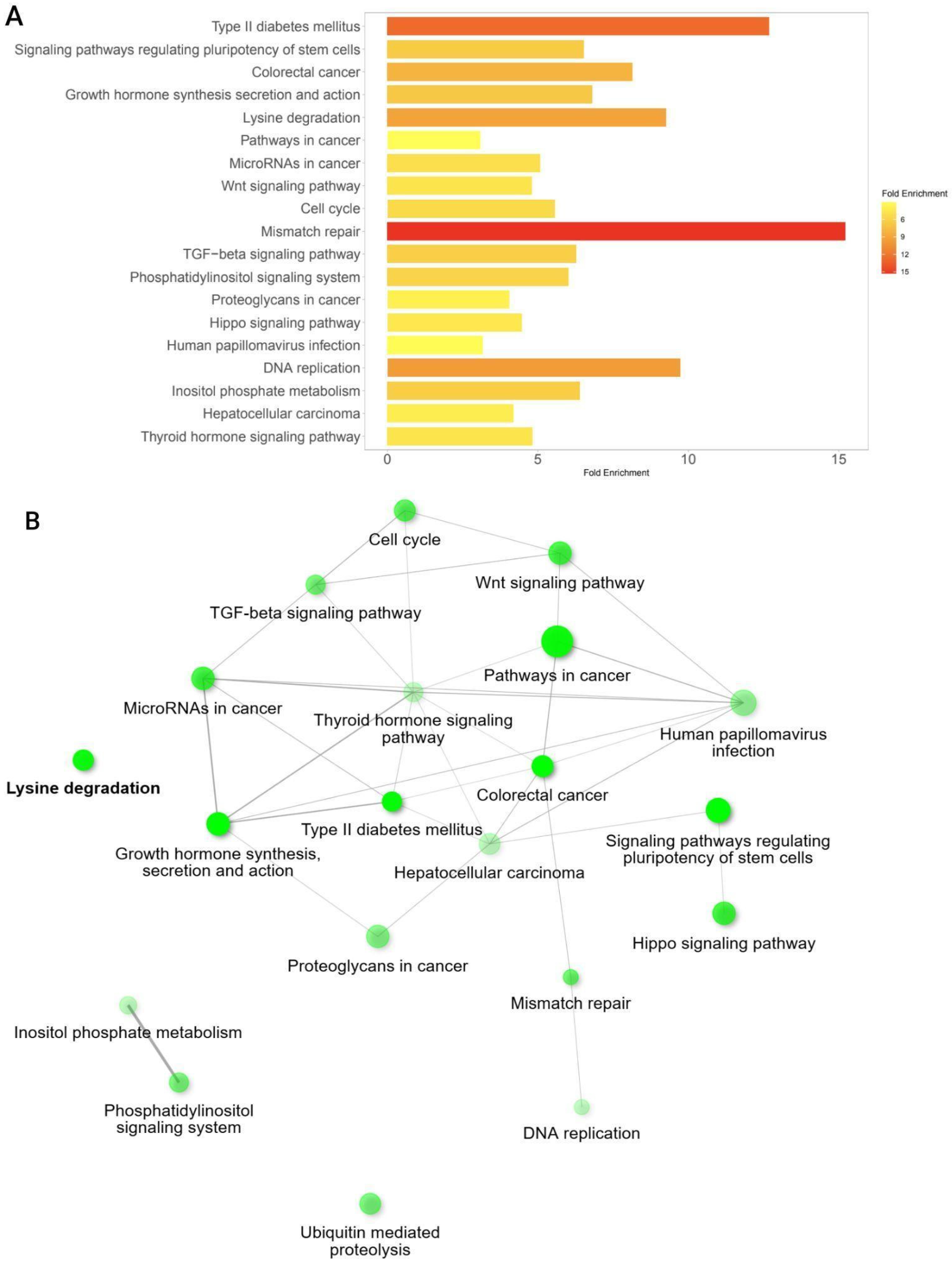 Biomedicines 13 02592 g007 Biomedicines 13 02592 g007