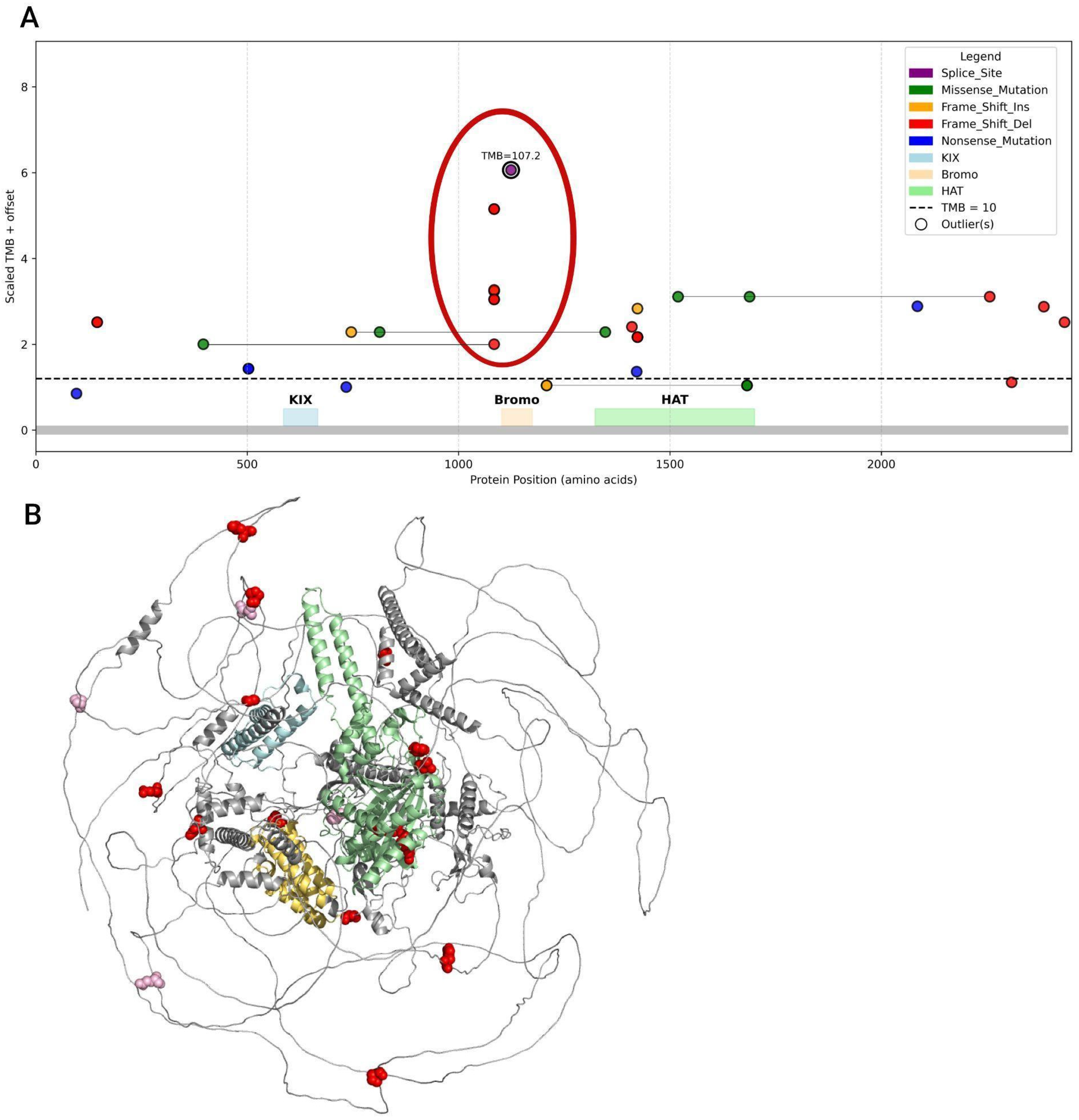 Biomedicines 13 02592 g009 Biomedicines 13 02592 g009