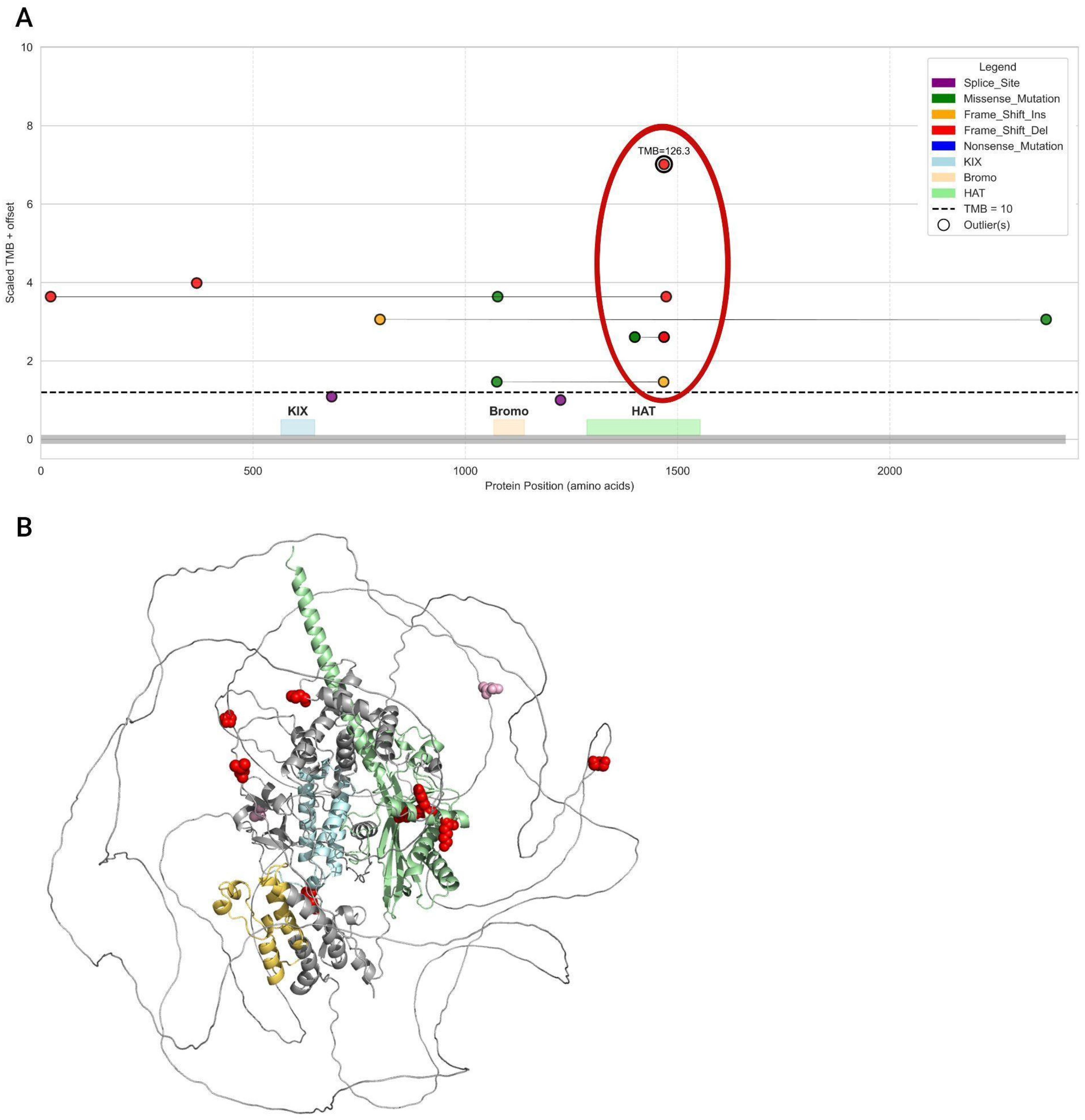 Biomedicines 13 02592 g011 Biomedicines 13 02592 g011