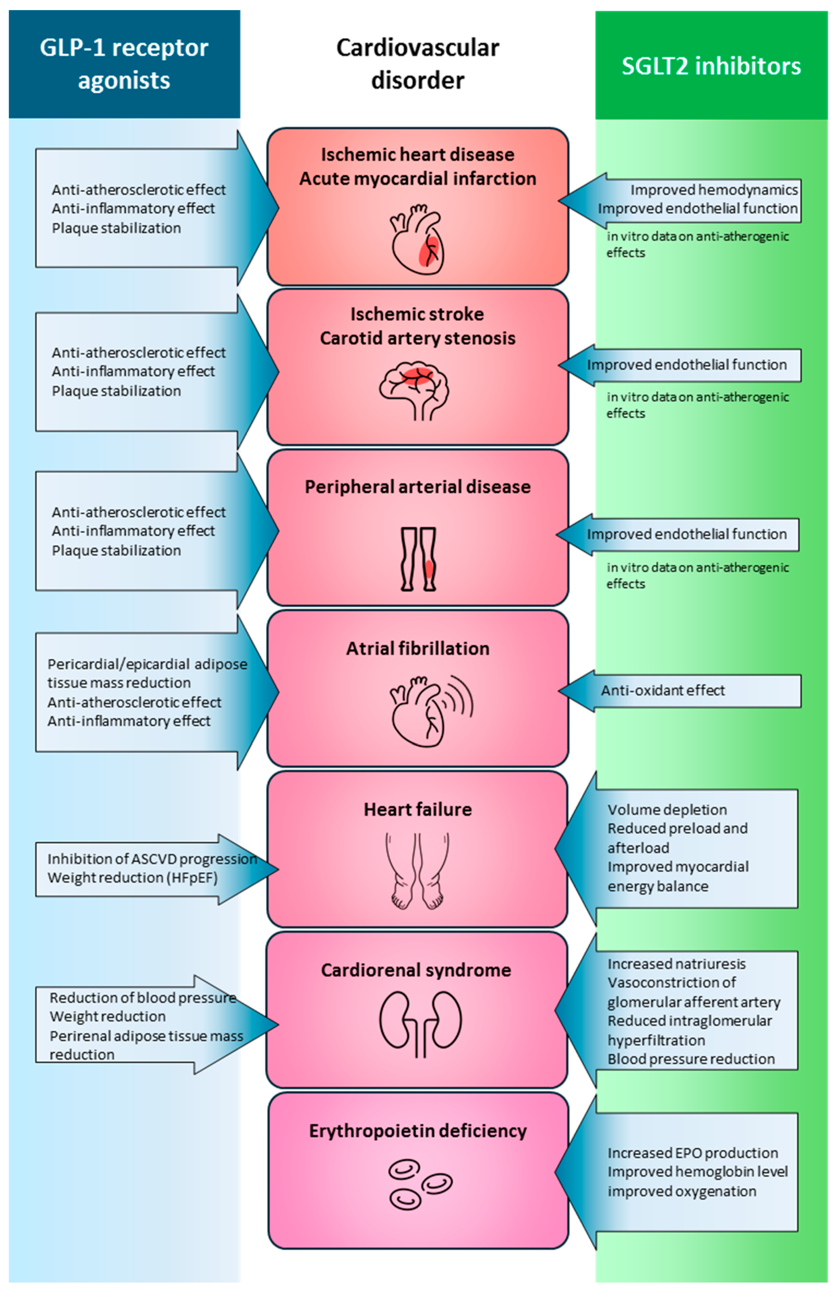Biomedicines 13 02595 g005