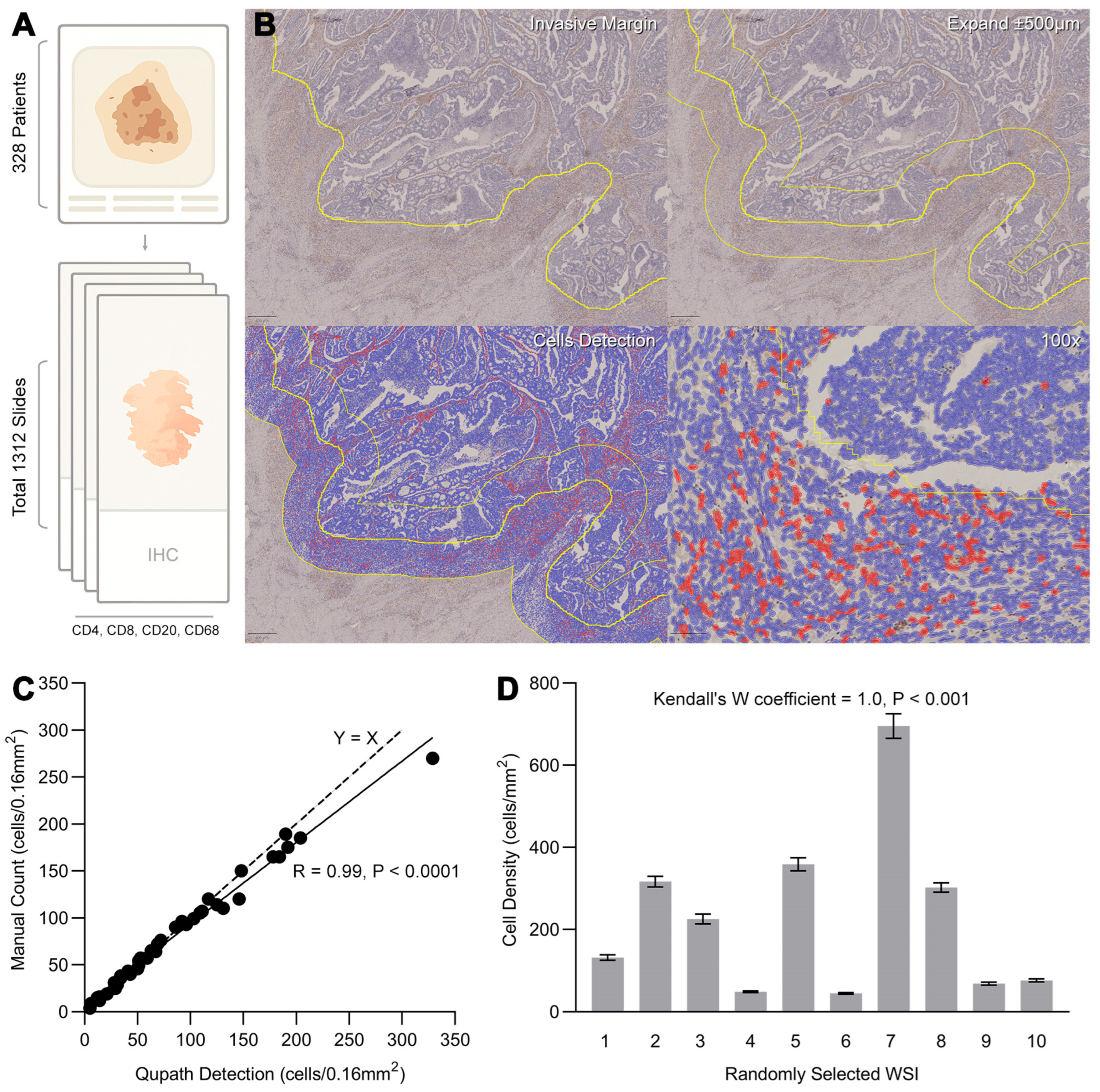 Biomedicines 13 02596 g002 Biomedicines 13 02596 g002