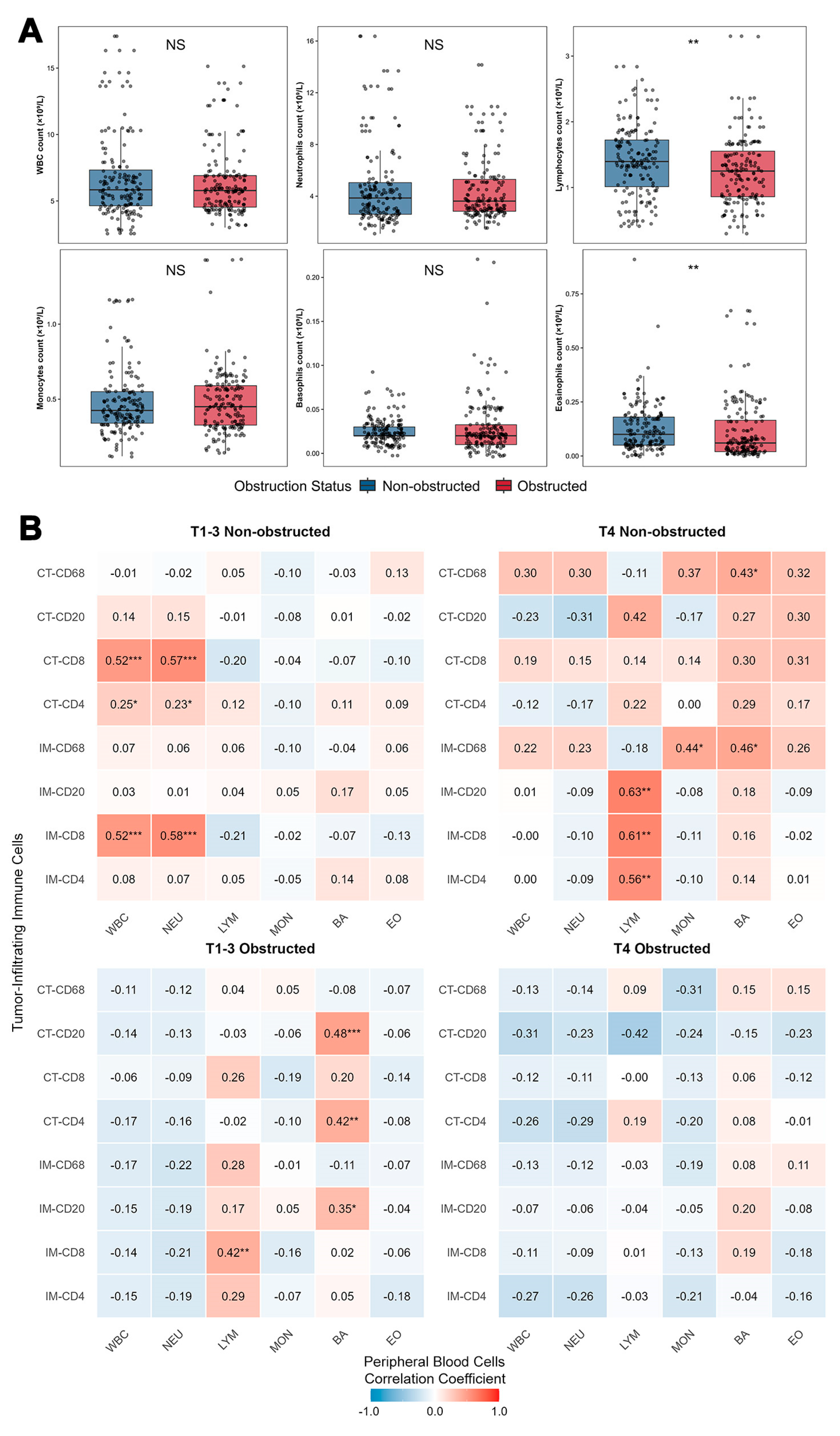 Biomedicines 13 02596 g006 Biomedicines 13 02596 g006