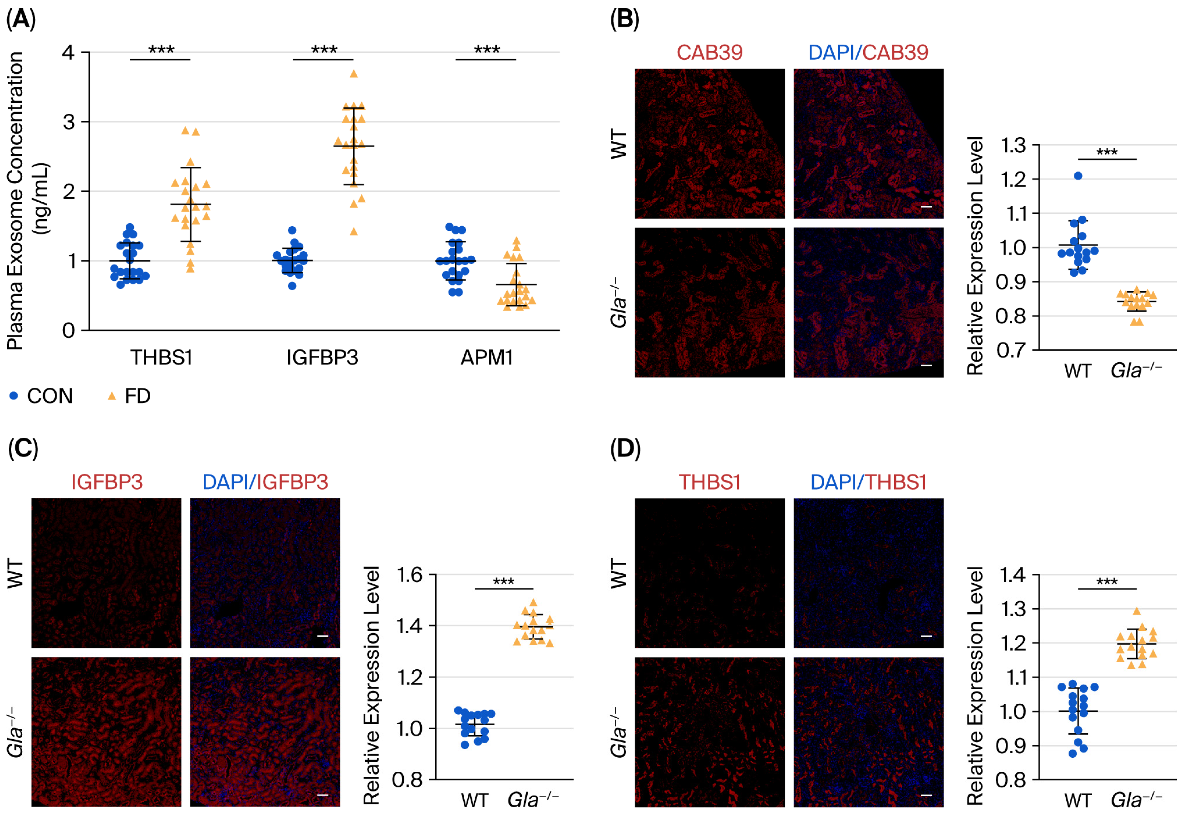 Biomedicines 13 02598 g004 Biomedicines 13 02598 g004