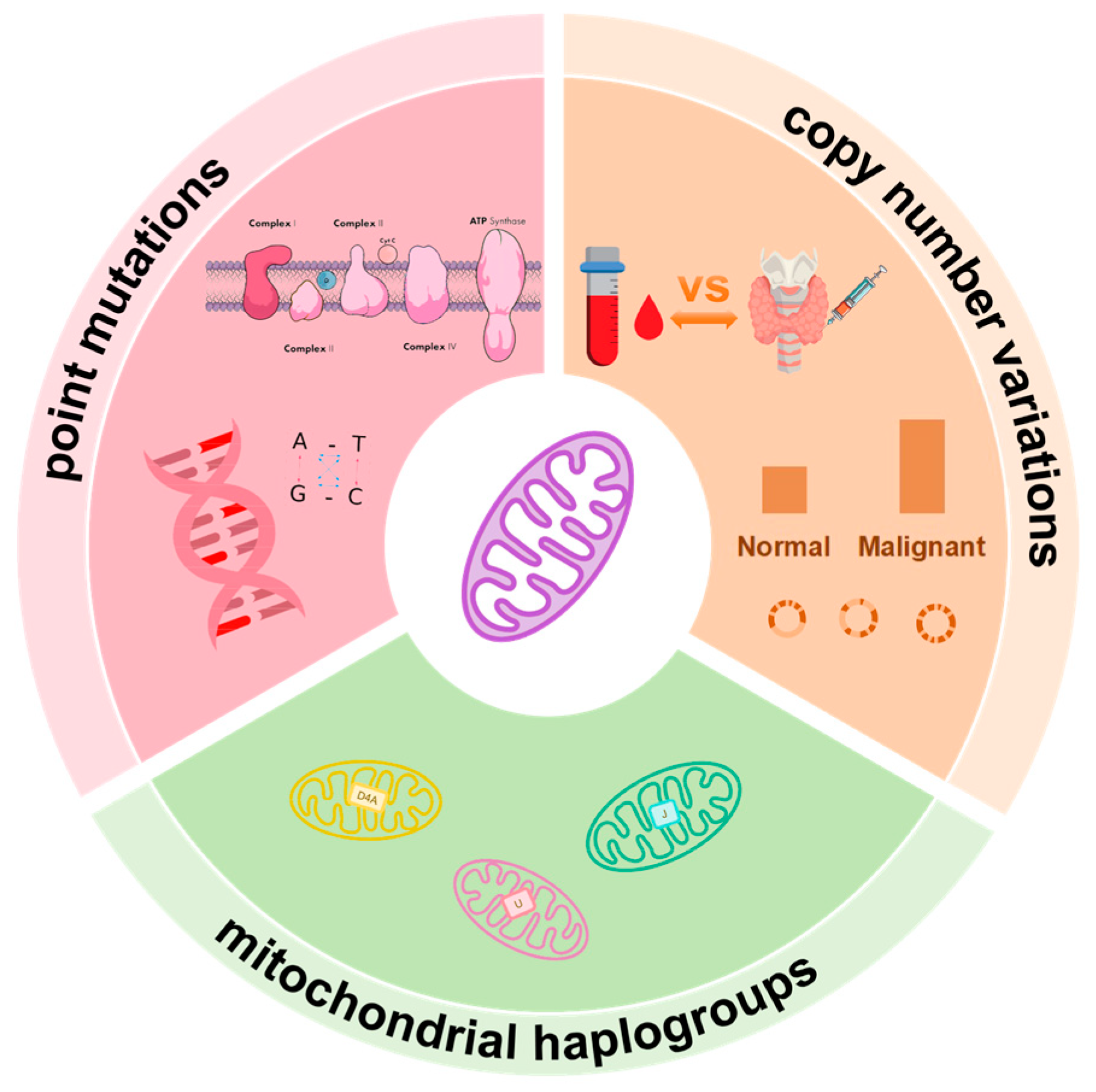 Biomedicines 13 02599 g001 Biomedicines 13 02599 g001