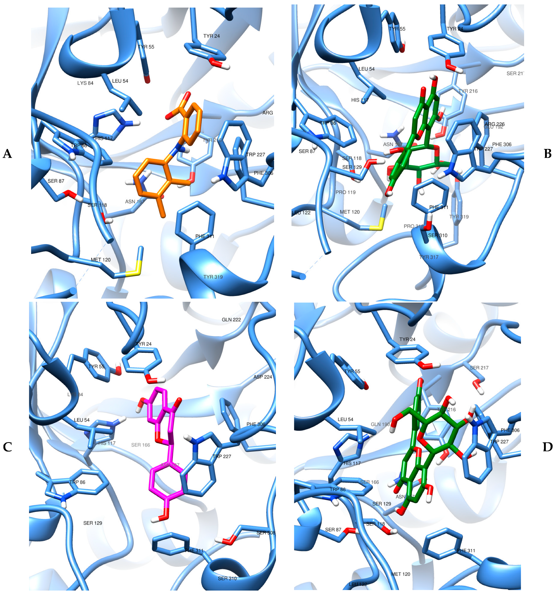 Biomedicines 13 02602 g008a