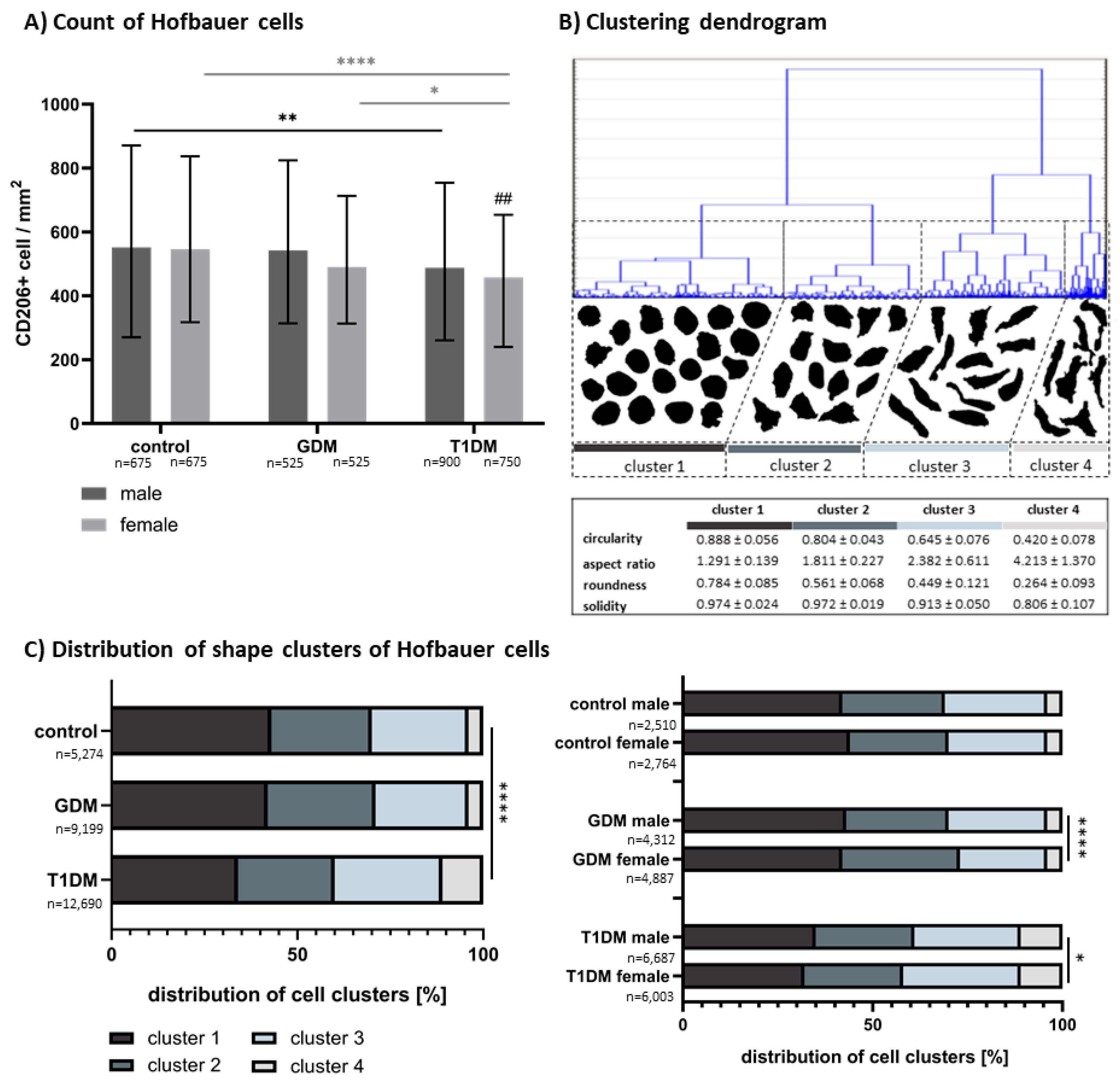 Biomedicines 13 02606 g001 Biomedicines 13 02606 g001