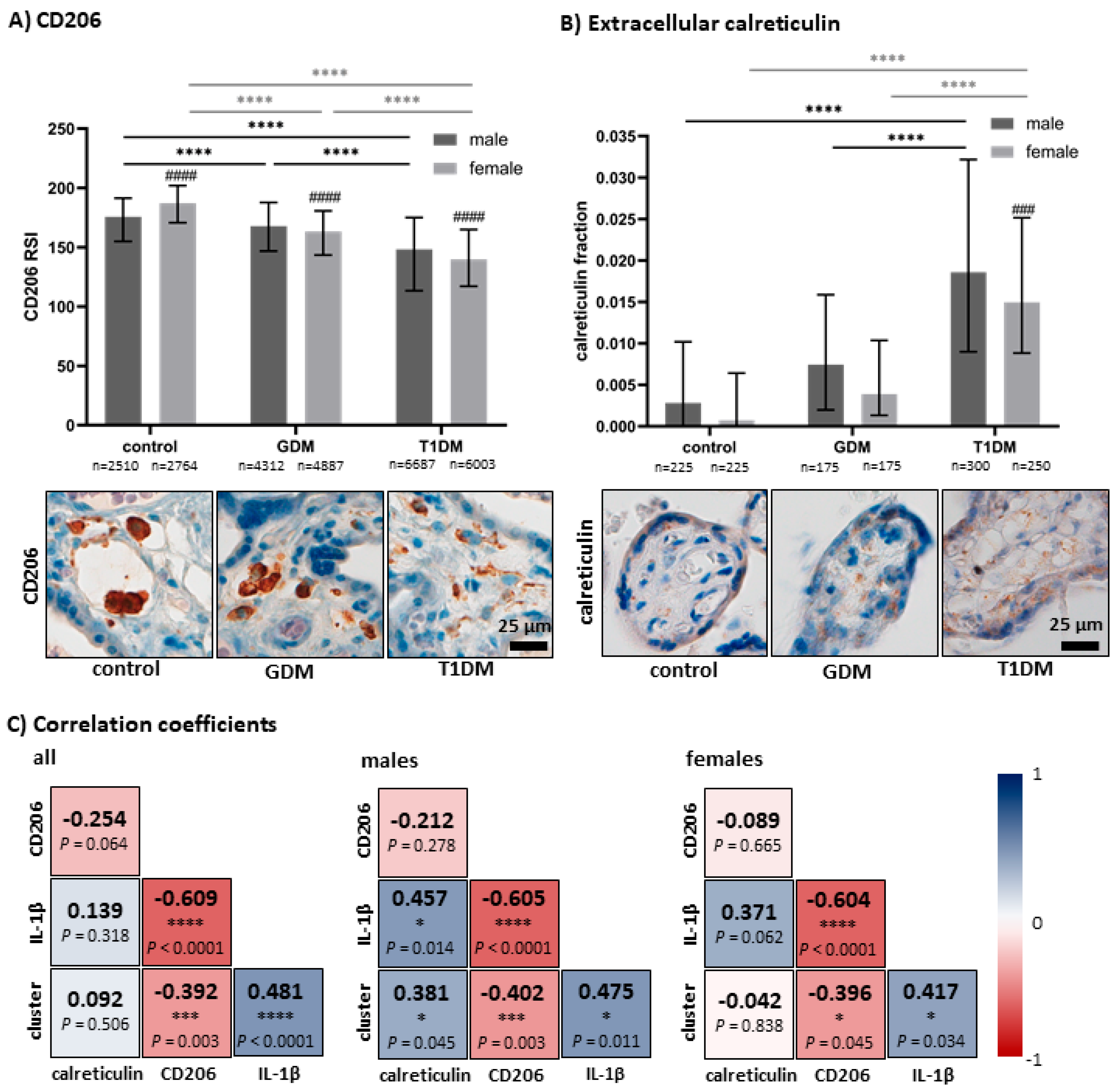 Biomedicines 13 02606 g002 Biomedicines 13 02606 g002