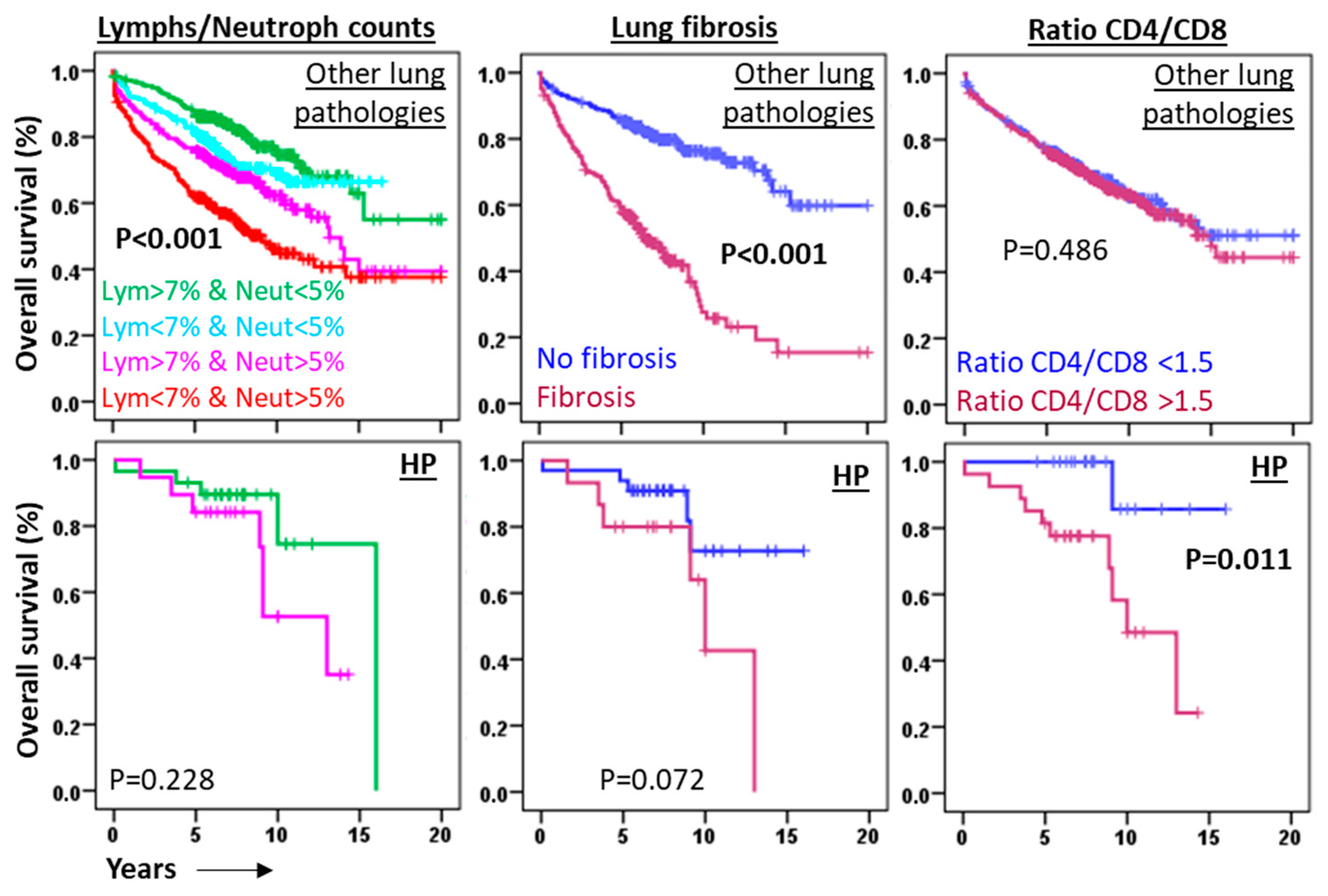 Biomedicines 13 02611 g005 Biomedicines 13 02611 g005