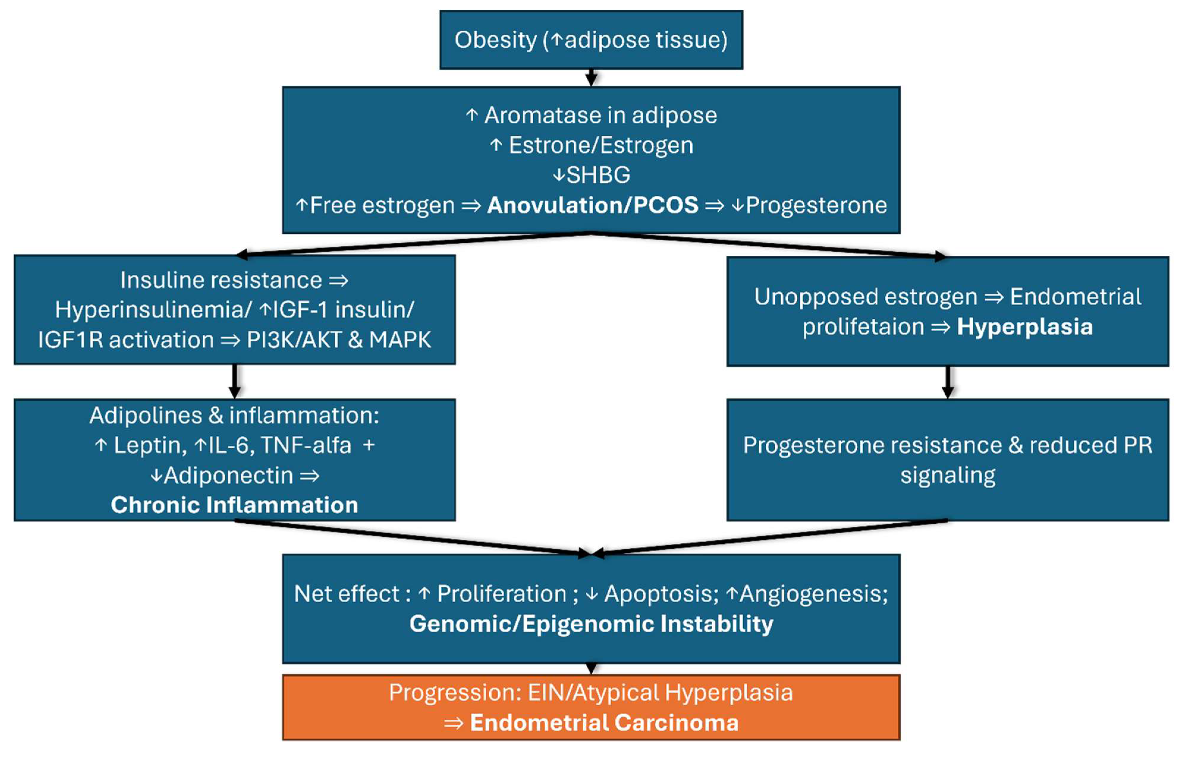 Biomedicines 13 02612 g002