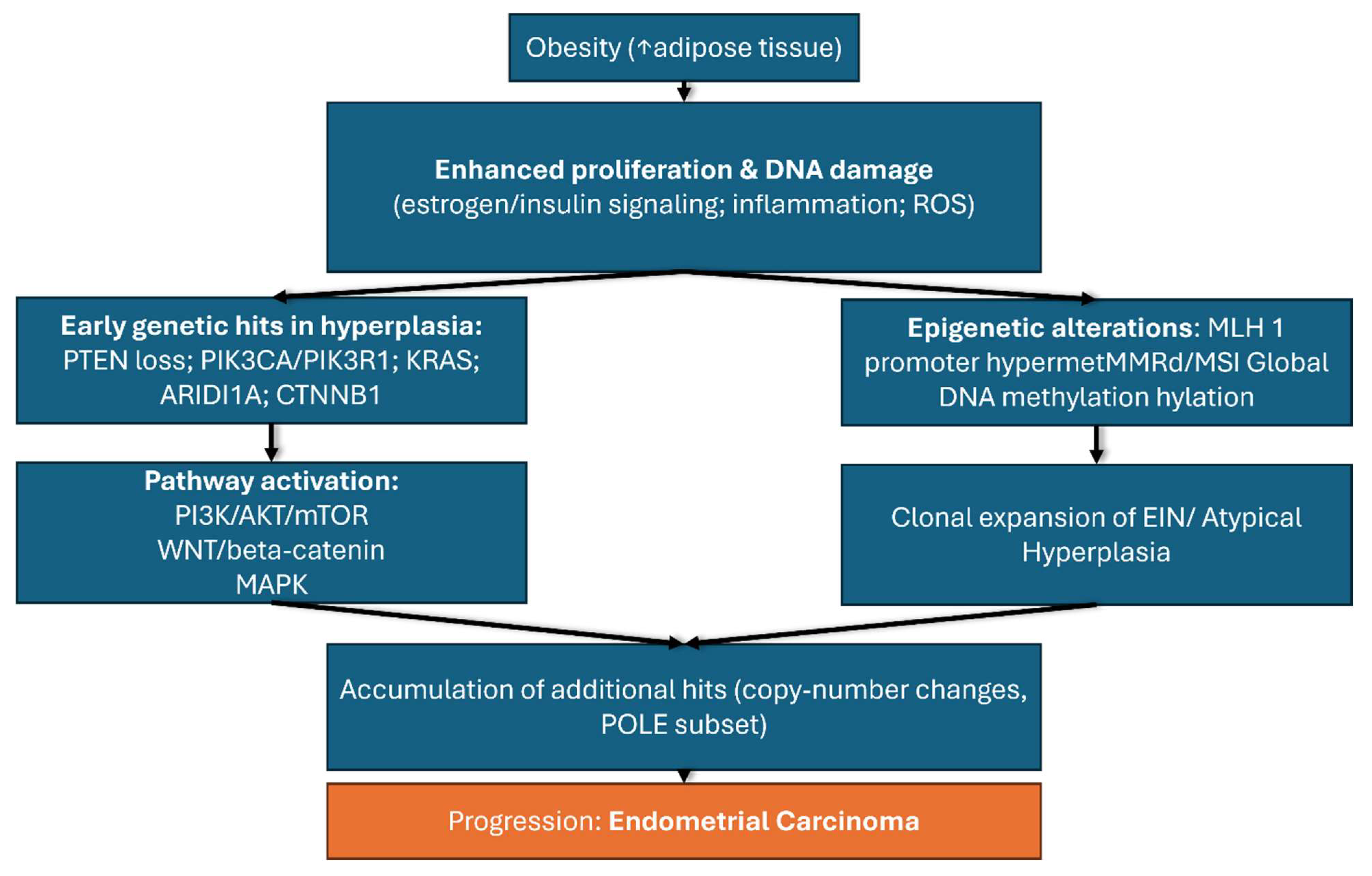 Biomedicines 13 02612 g003