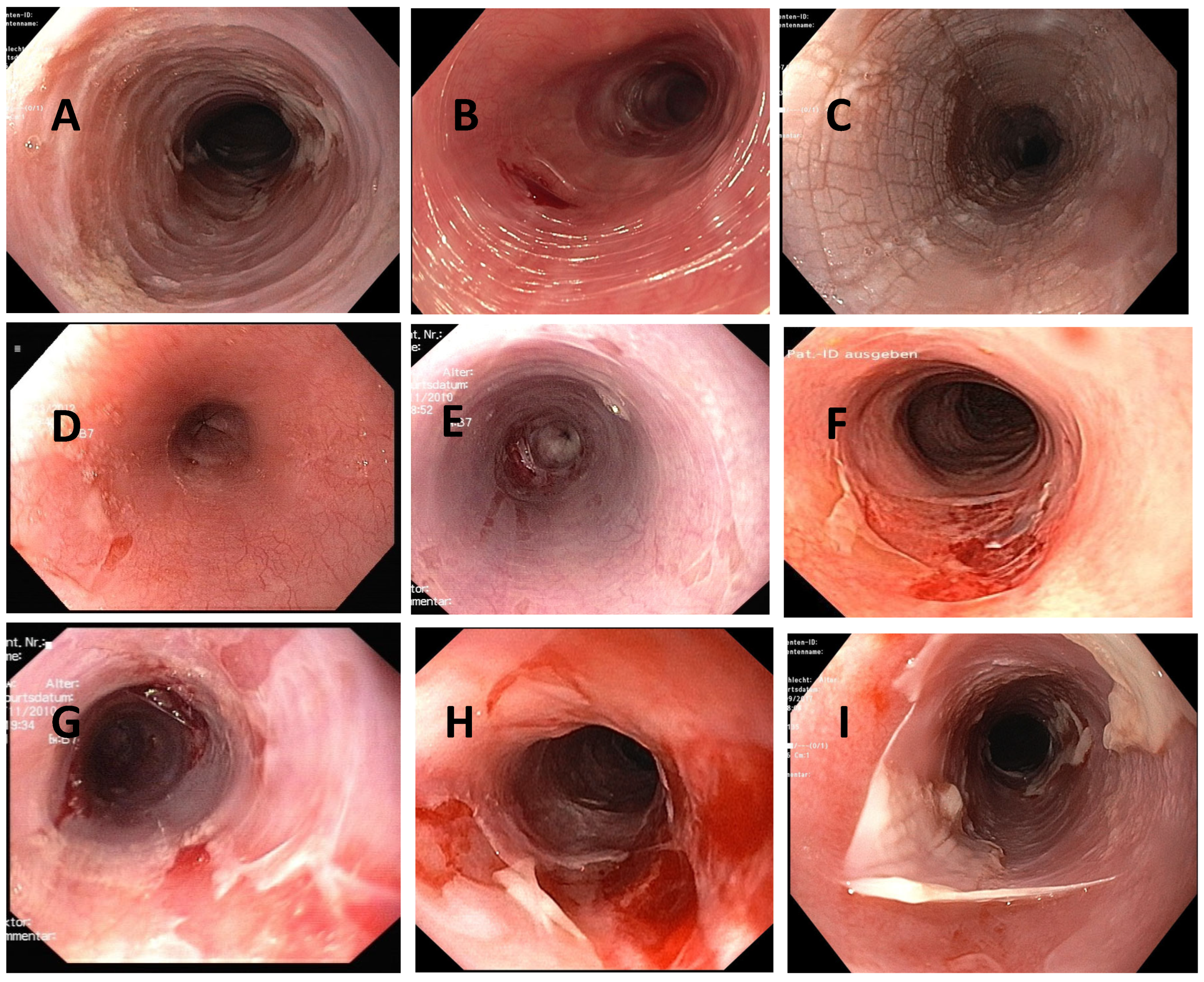 Biomedicines 13 02621 g001 Biomedicines 13 02621 g001