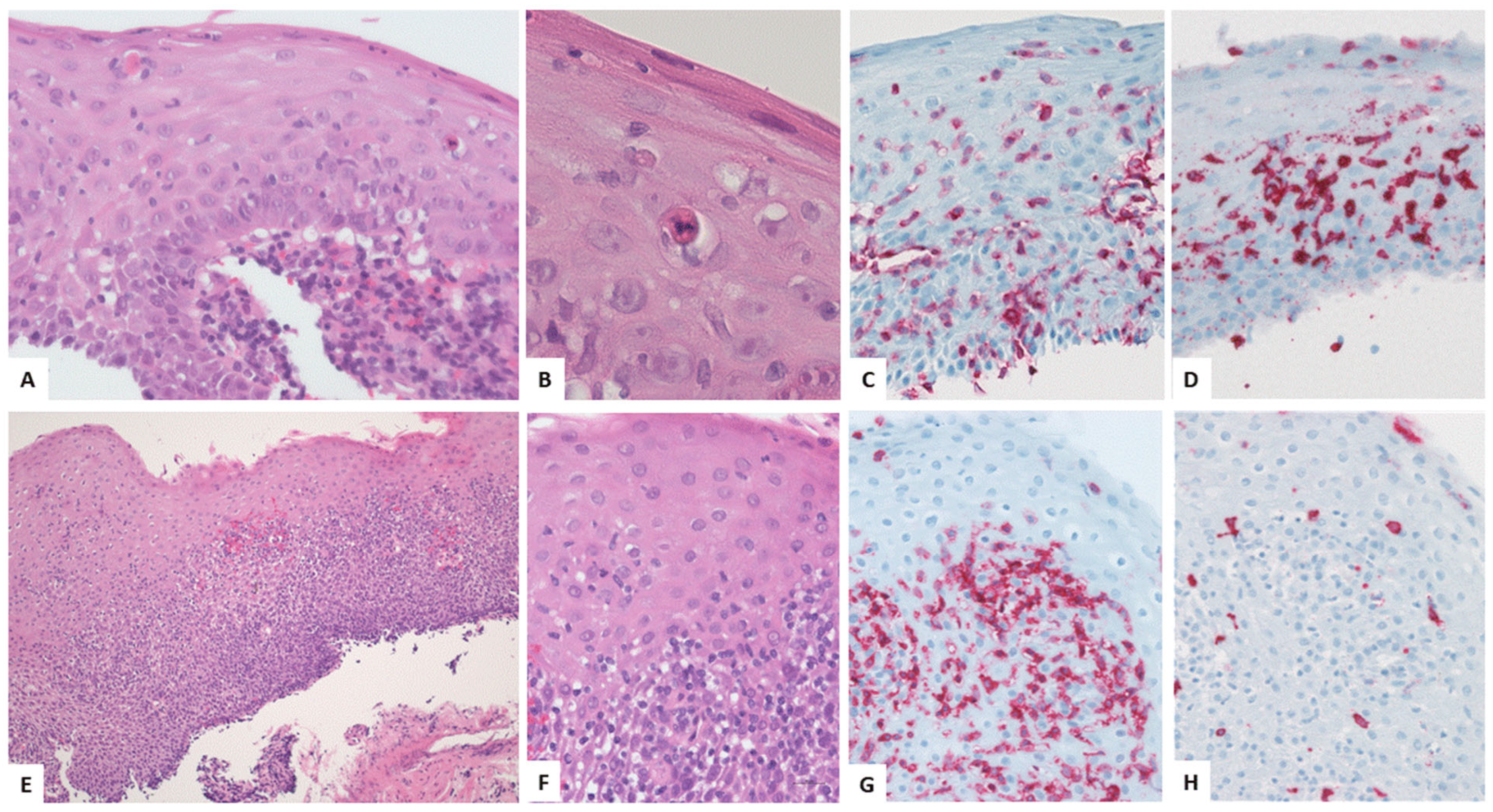 Biomedicines 13 02621 g002 Biomedicines 13 02621 g002