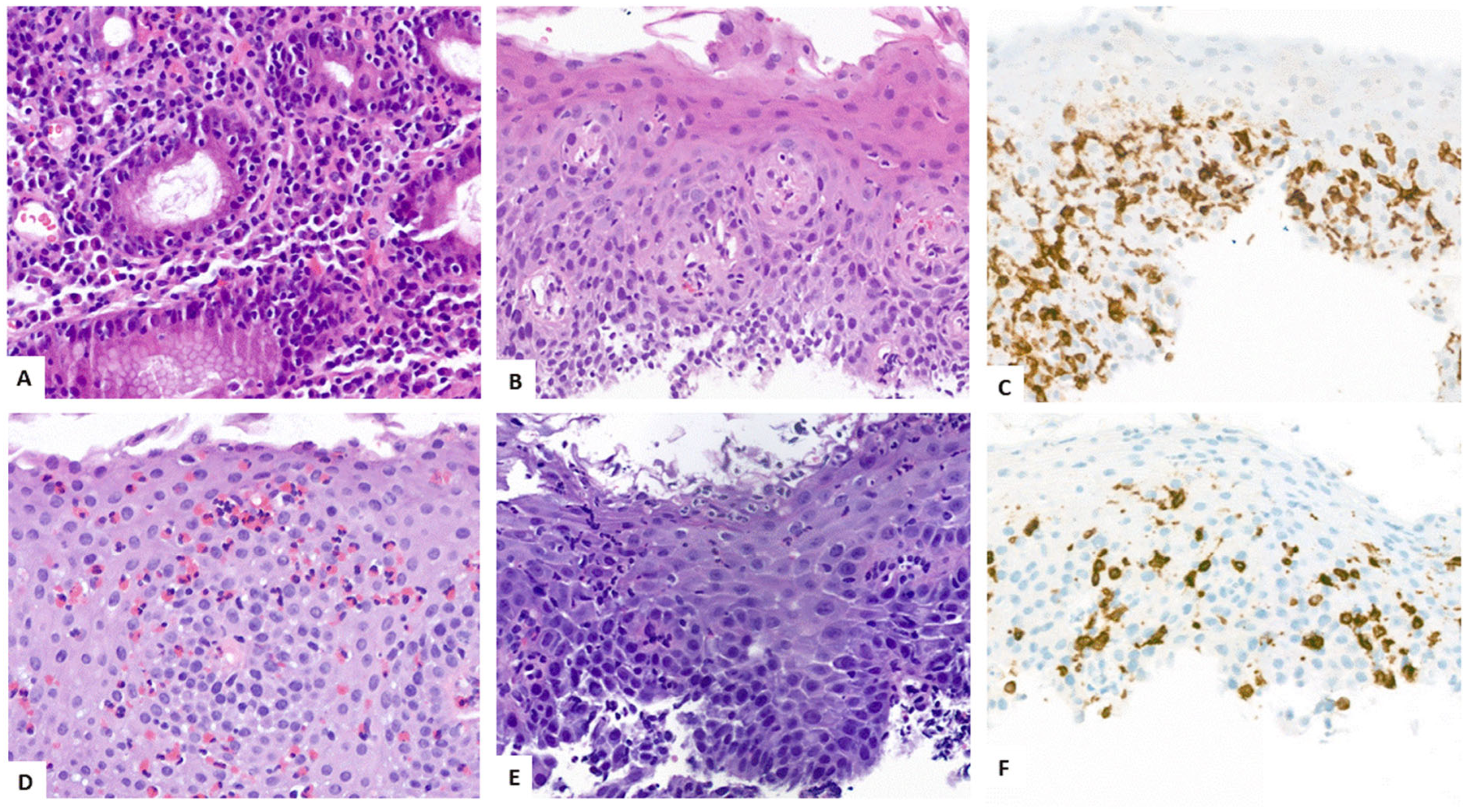 Biomedicines 13 02621 g004 Biomedicines 13 02621 g004