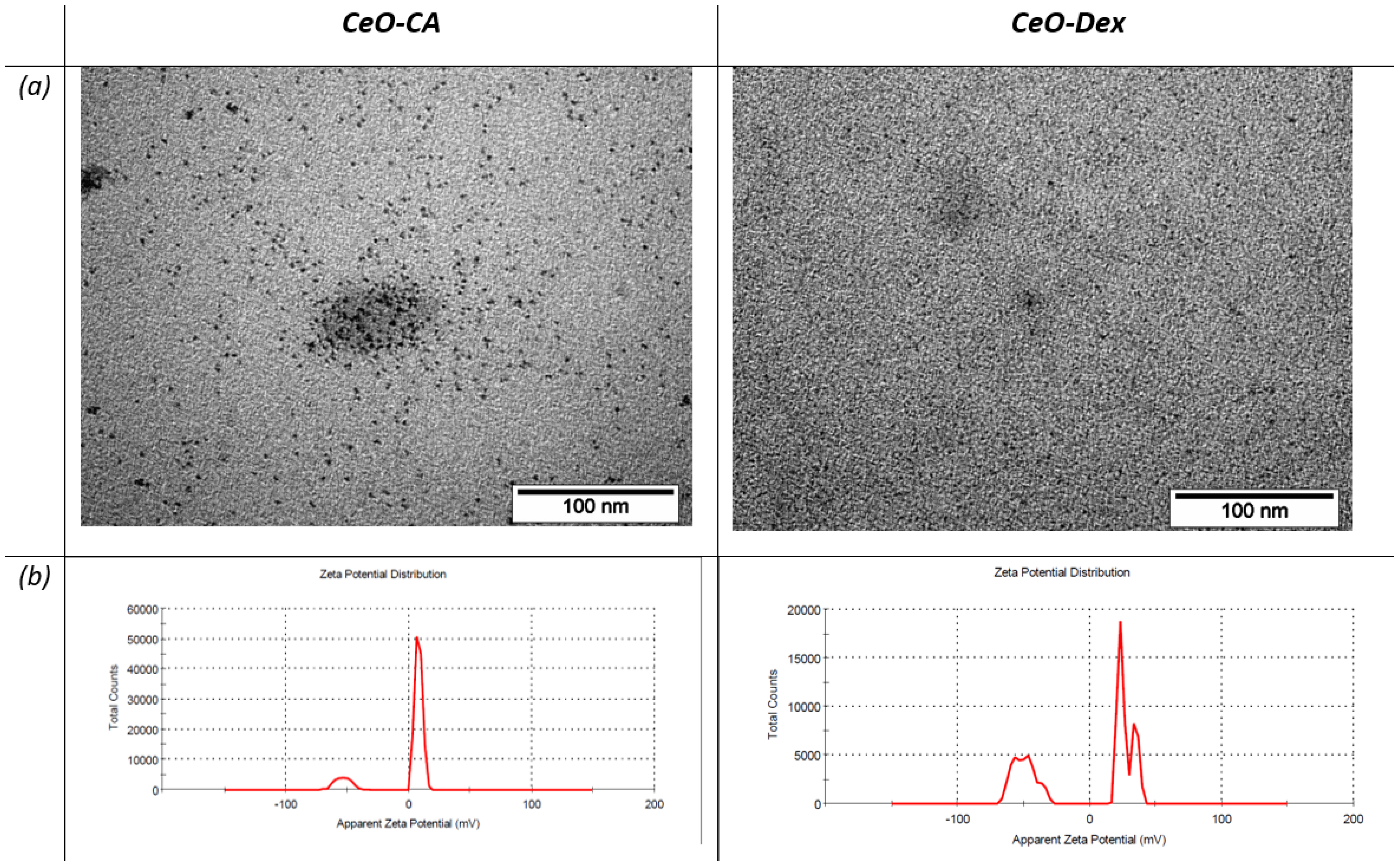Biomedicines 13 02623 g001