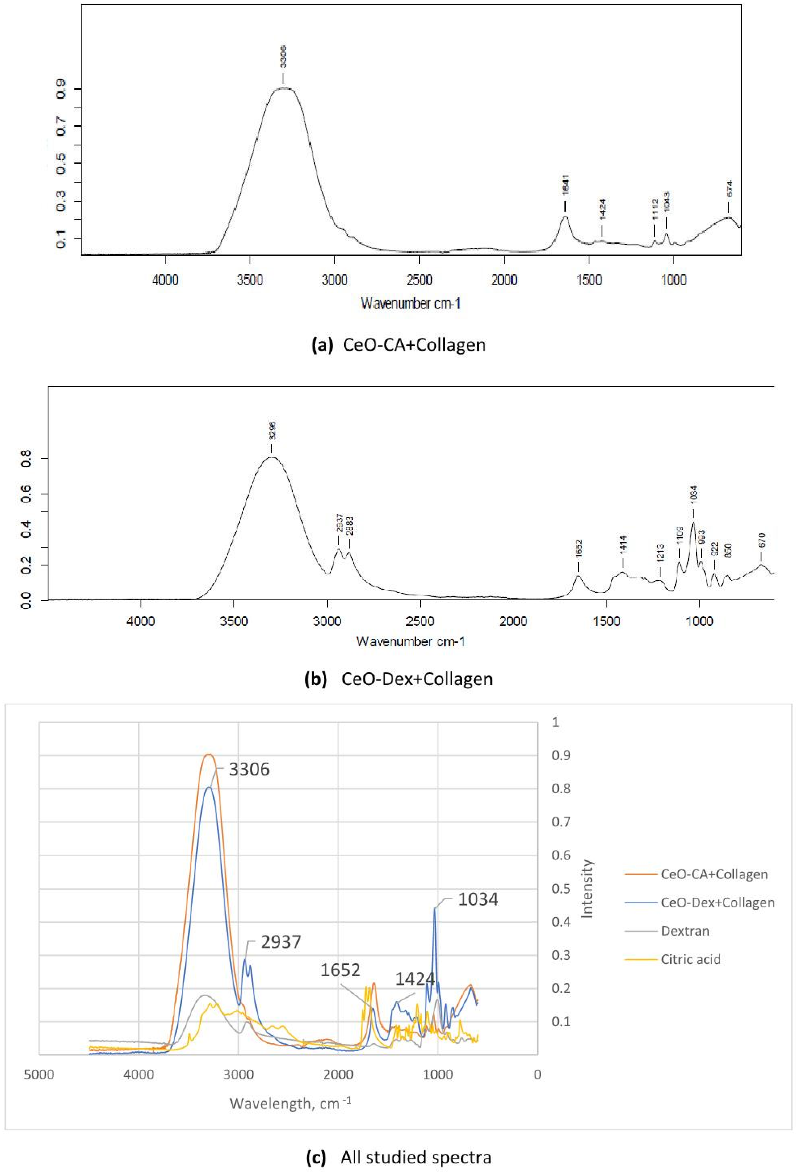Biomedicines 13 02623 g002