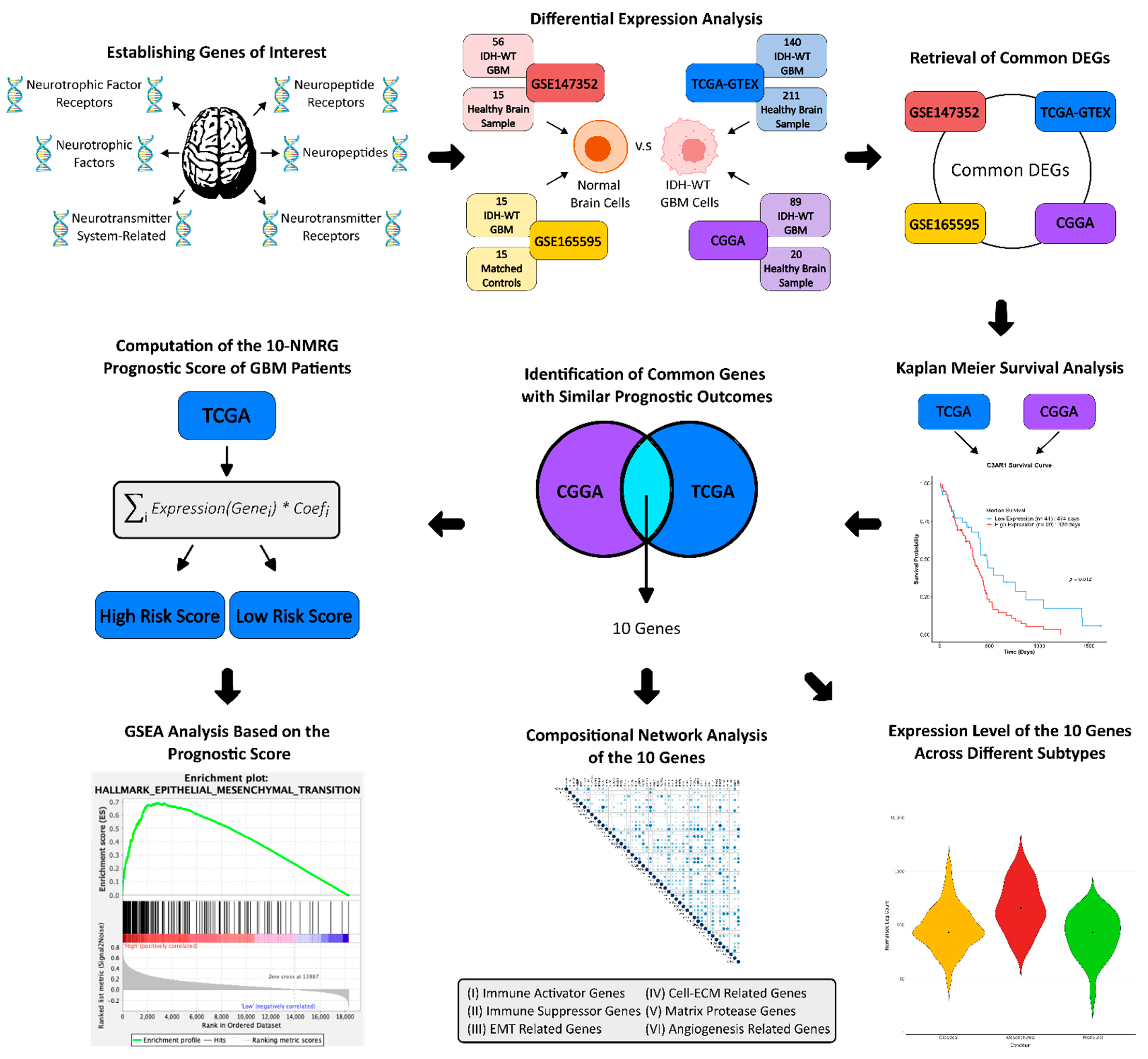 Biomedicines 13 02640 g001 Biomedicines 13 02640 g001