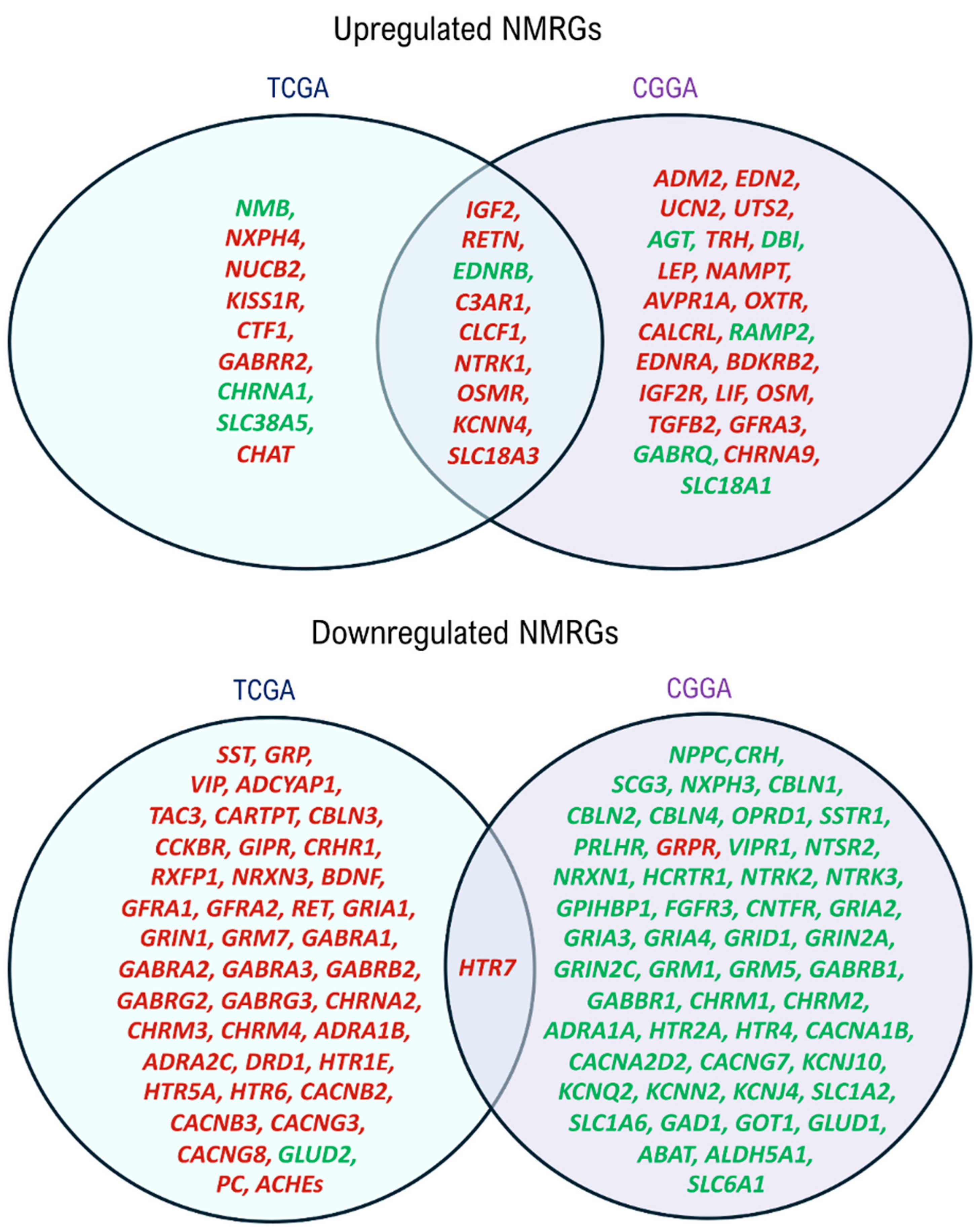 Biomedicines 13 02640 g002 Biomedicines 13 02640 g002
