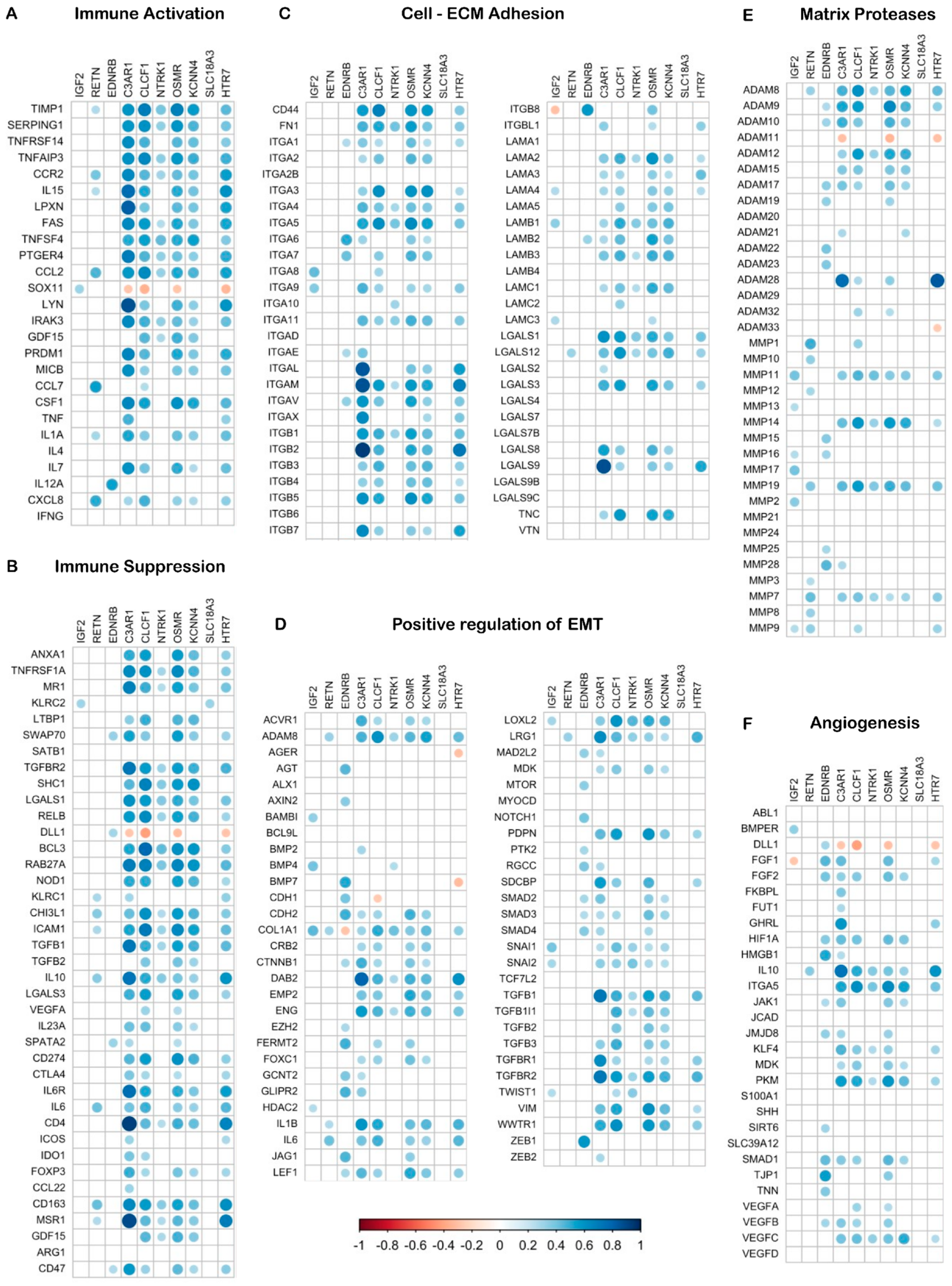 Biomedicines 13 02640 g007 Biomedicines 13 02640 g007