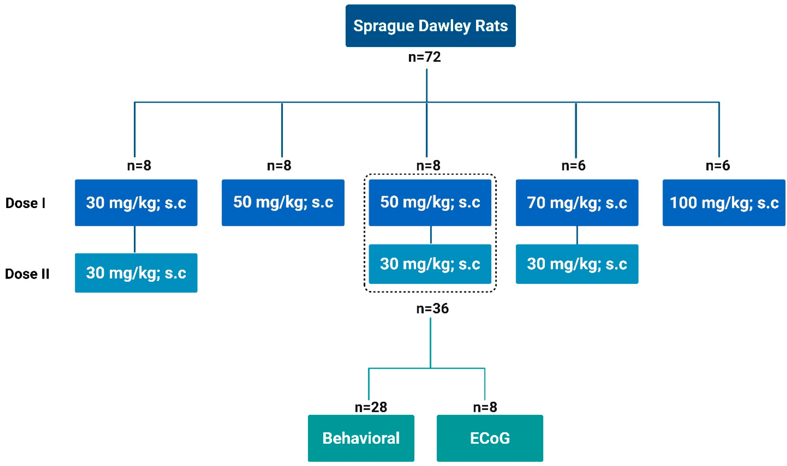Biomedicines 13 02642 sch001